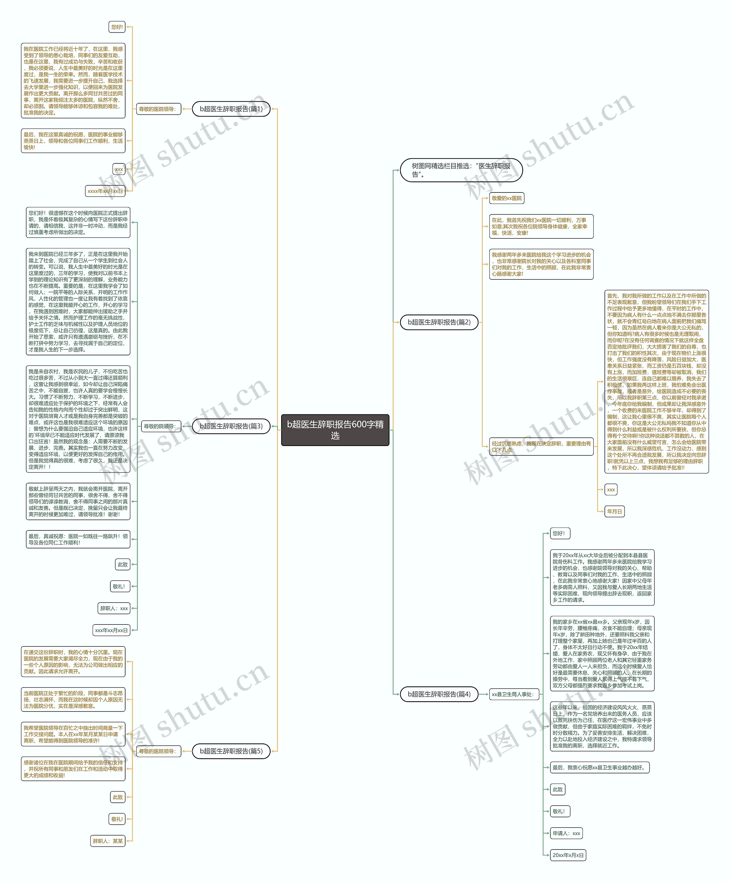 b超医生辞职报告600字精选思维导图