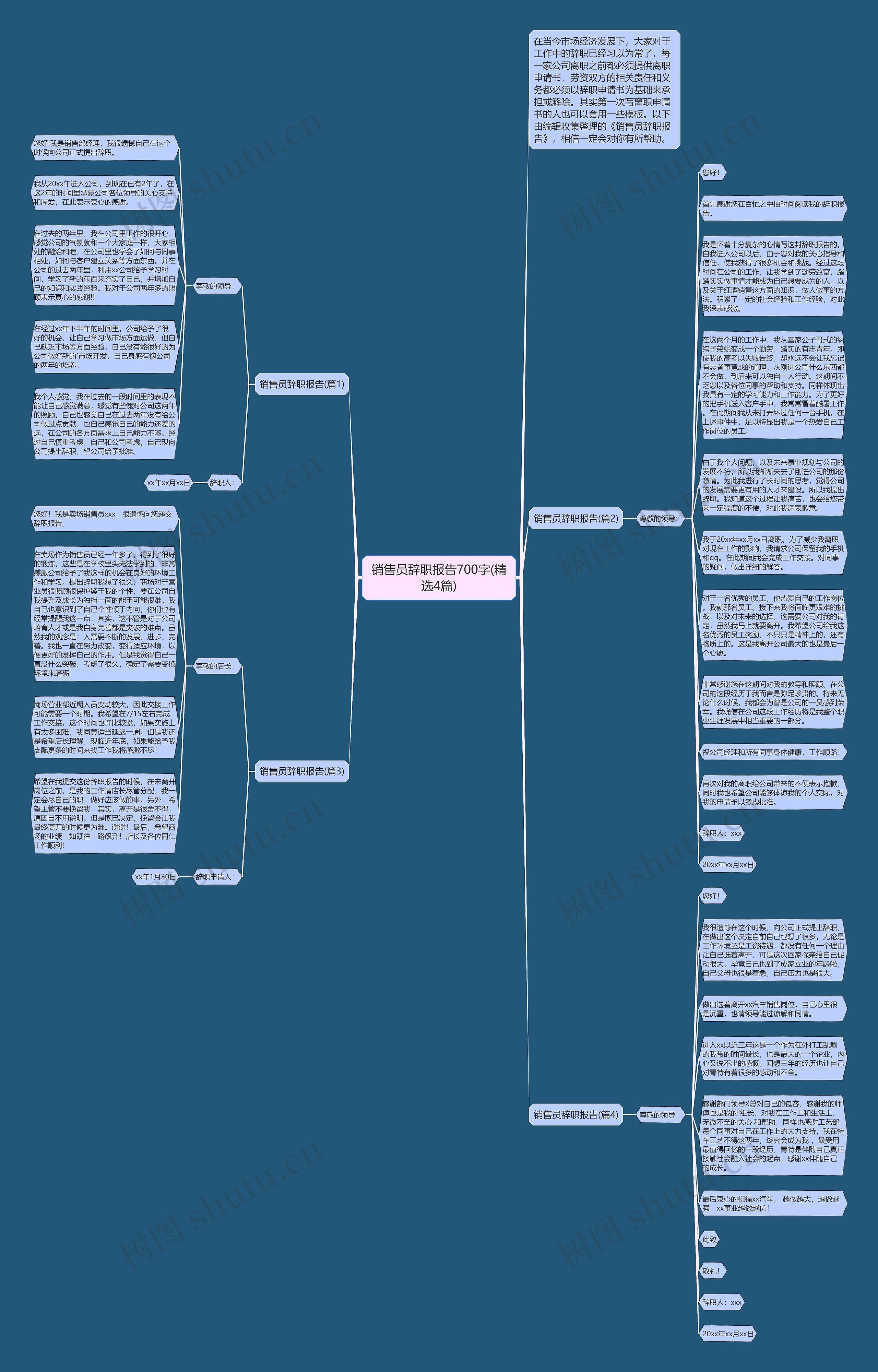销售员辞职报告700字(精选4篇)思维导图