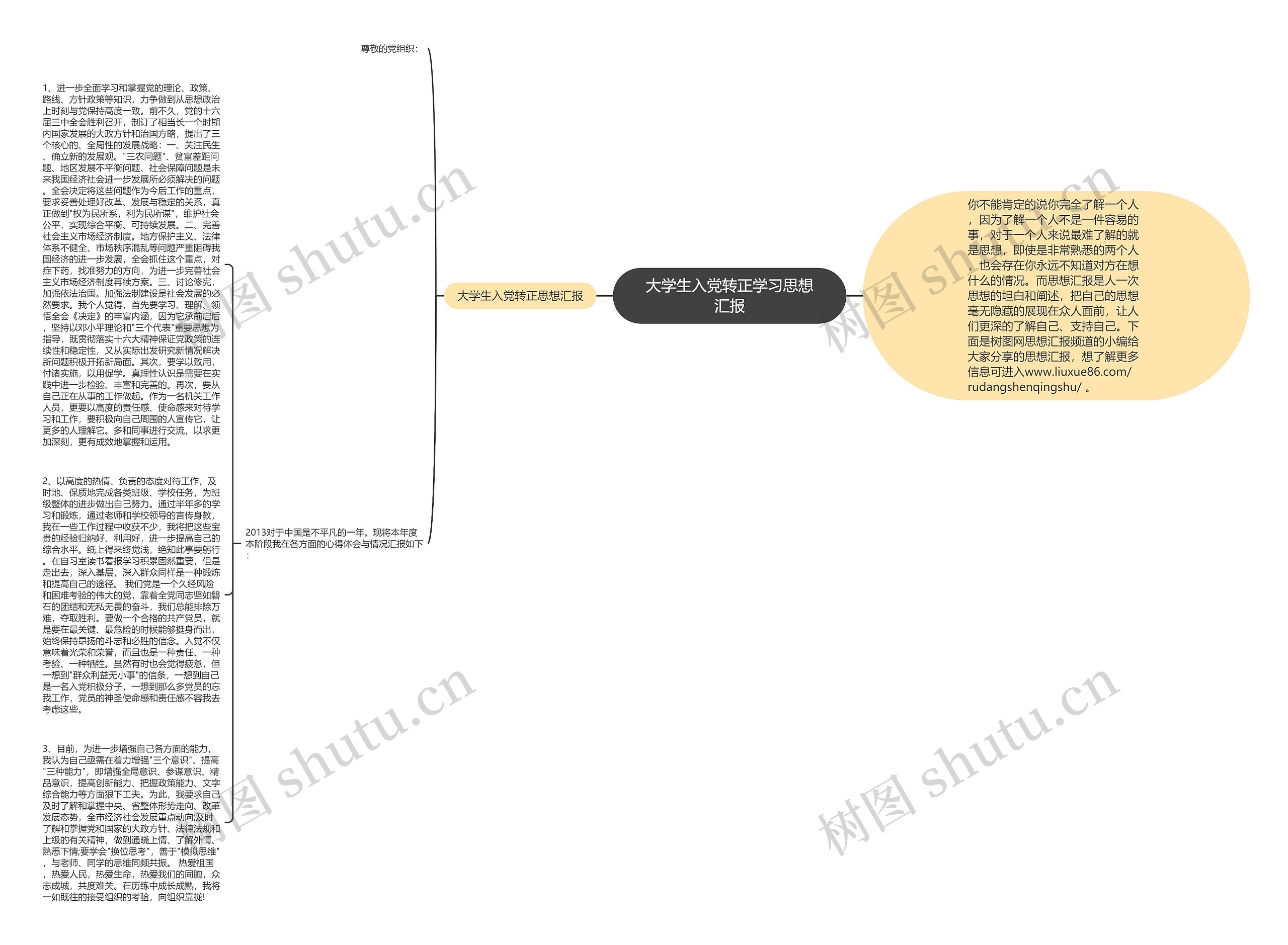 大学生入党转正学习思想汇报思维导图