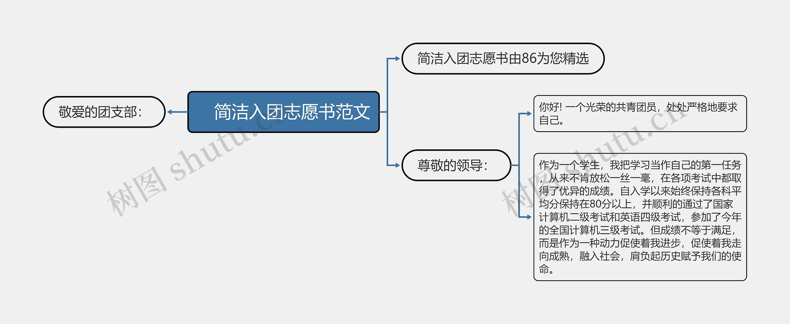 　简洁入团志愿书范文