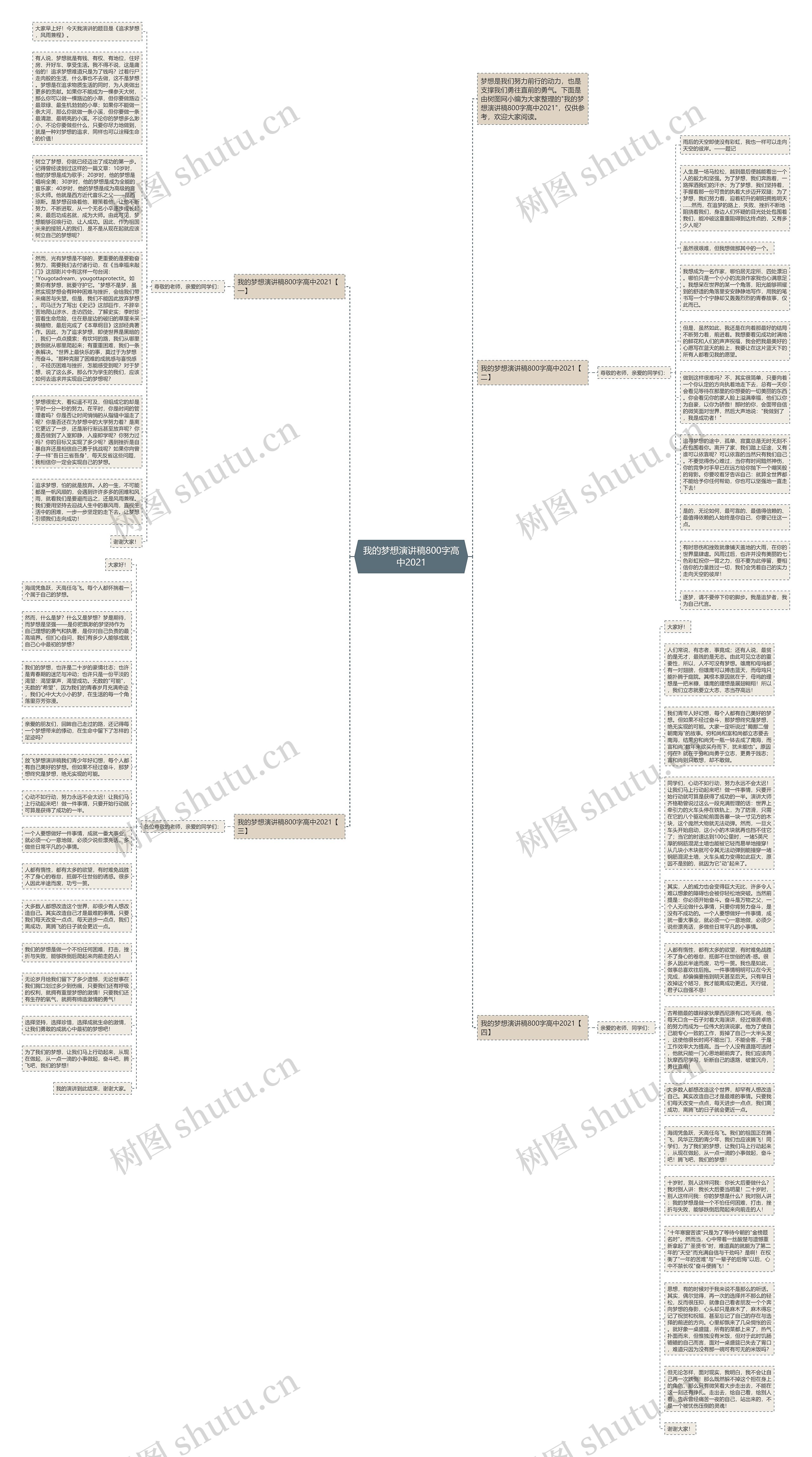 我的梦想演讲稿800字高中2021思维导图