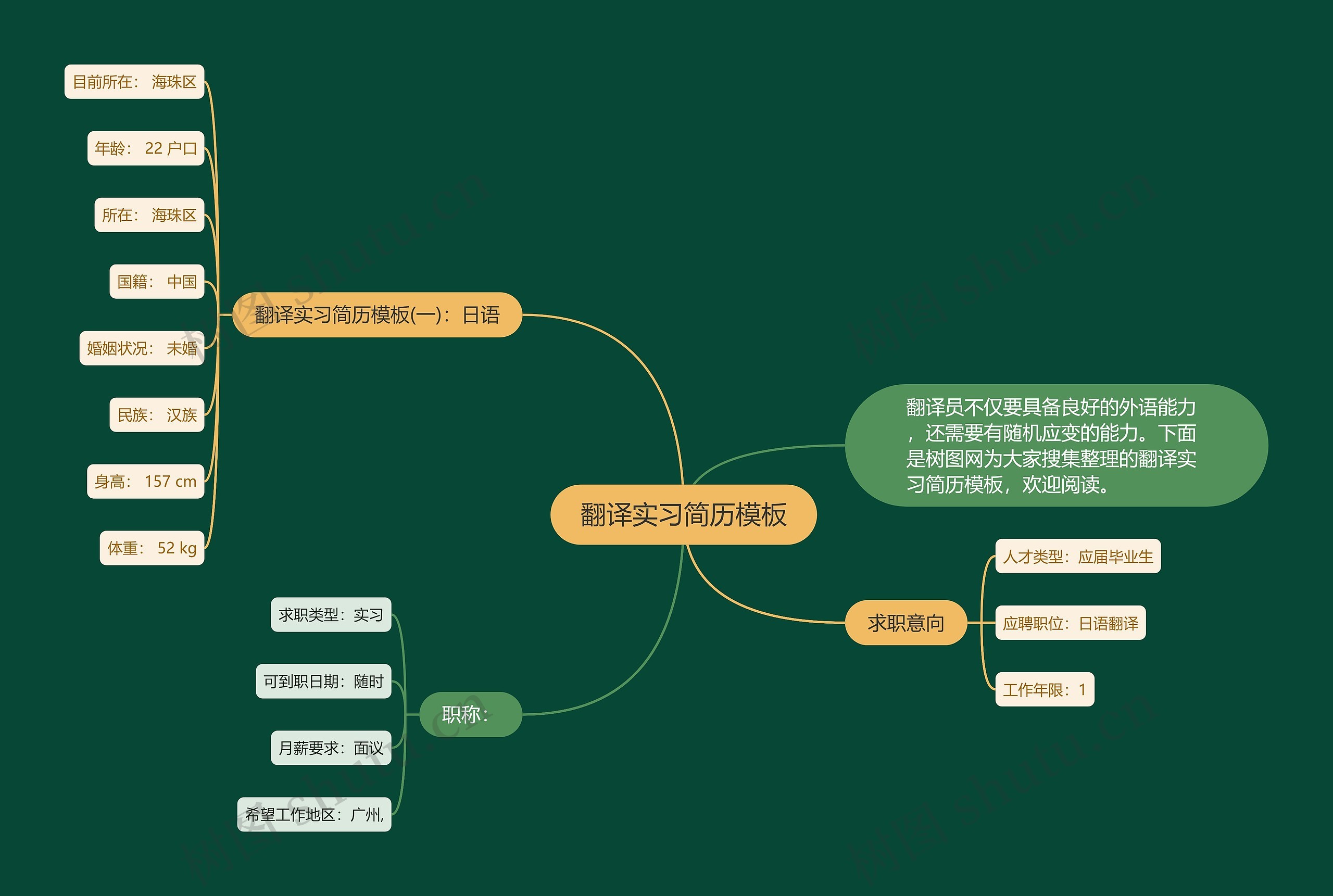 翻译实习简历模板