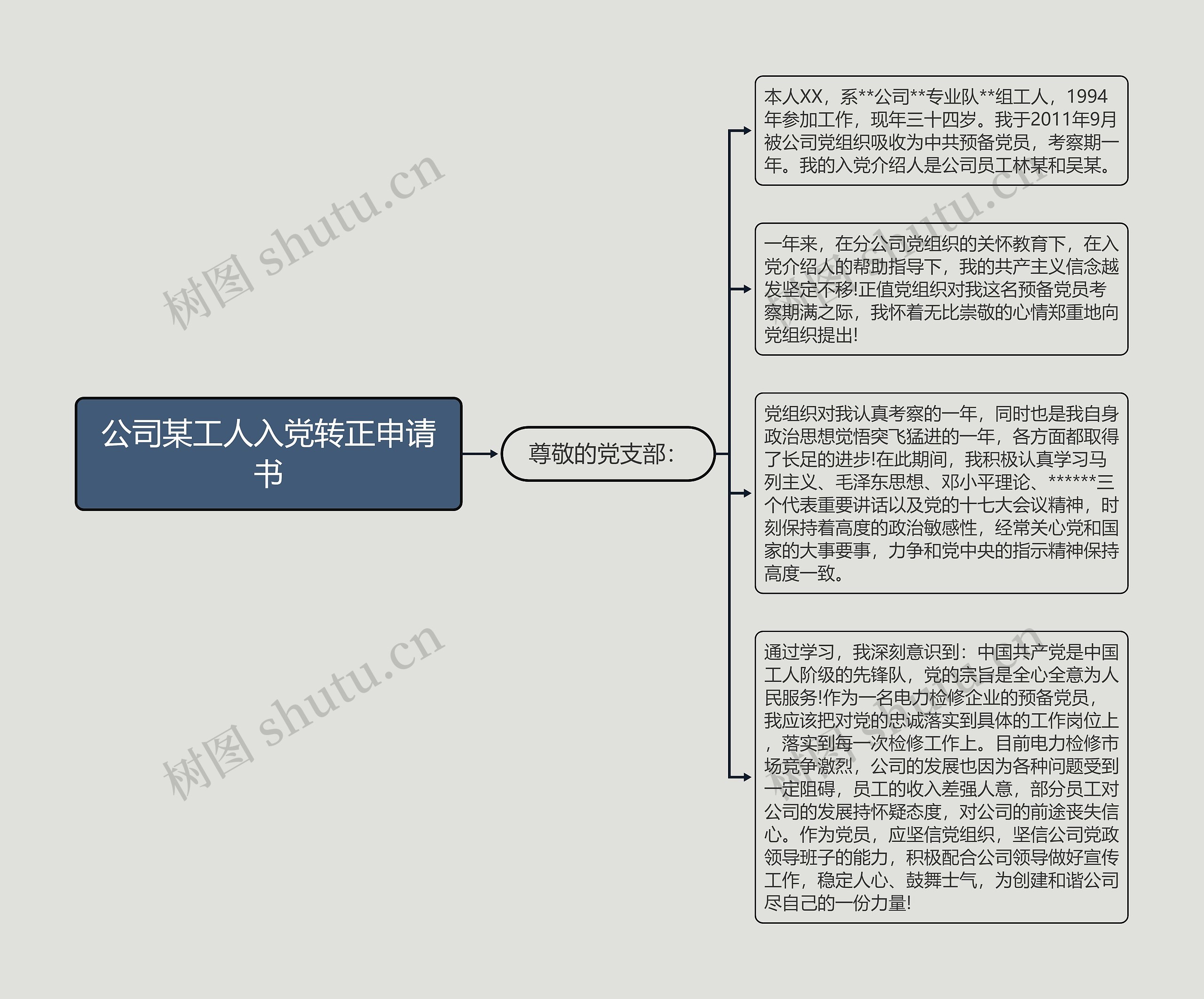 公司某工人入党转正申请书