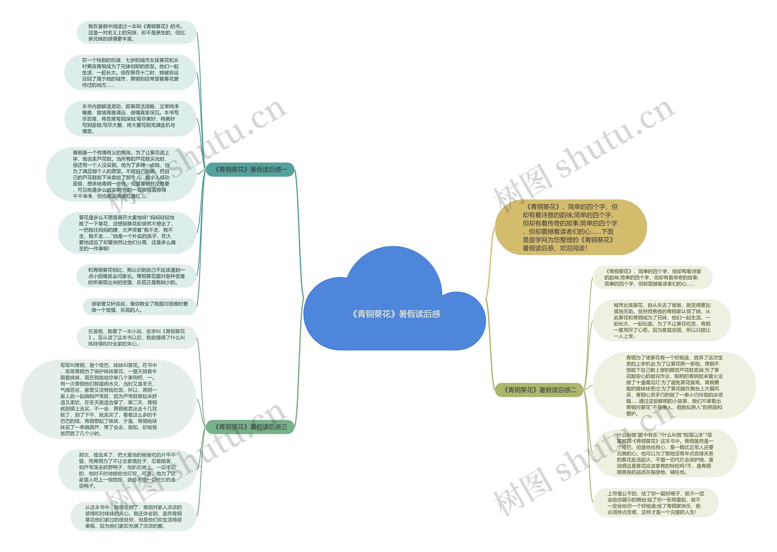 《青铜葵花》暑假读后感思维导图
