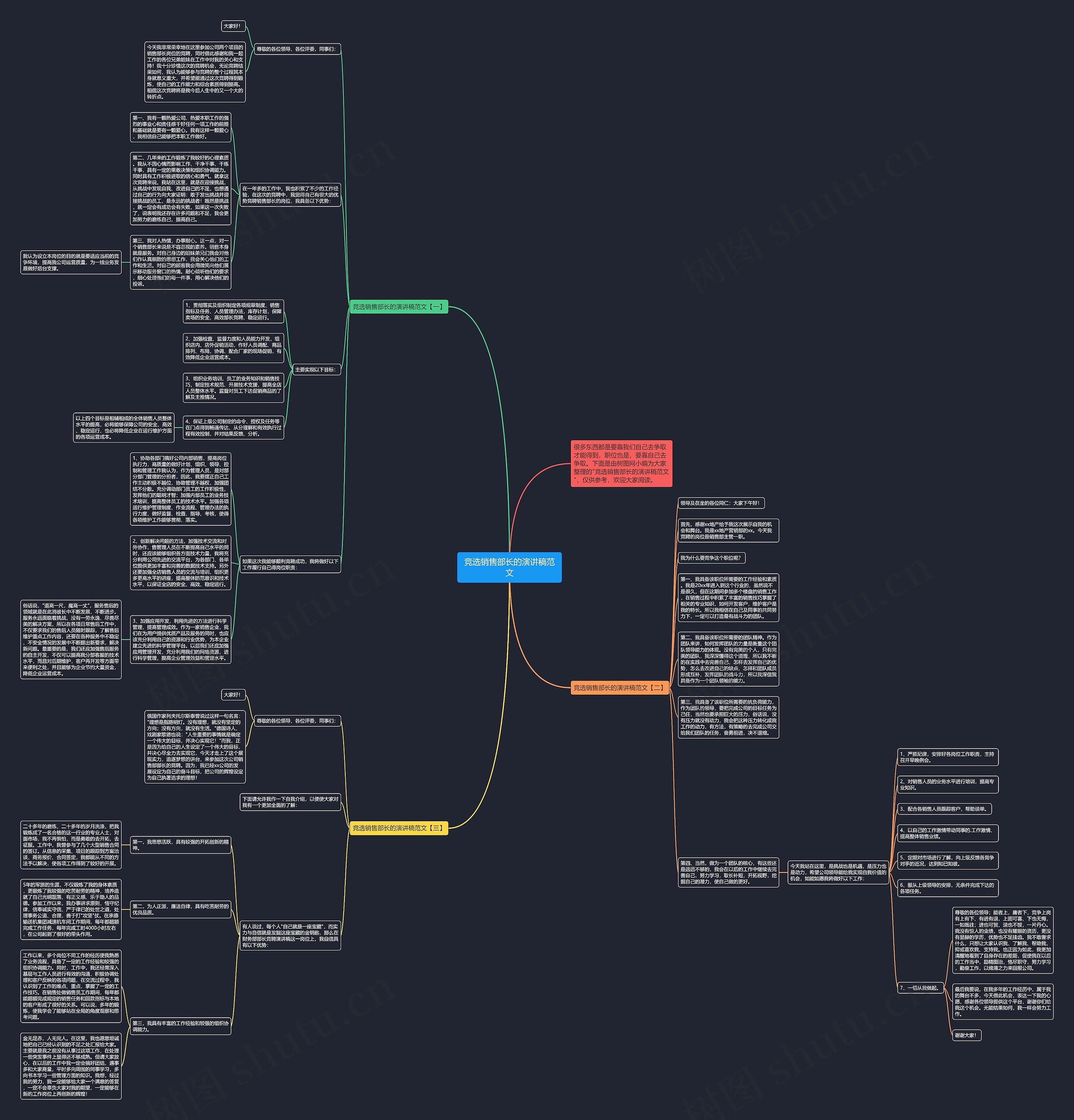 竞选销售部长的演讲稿范文思维导图