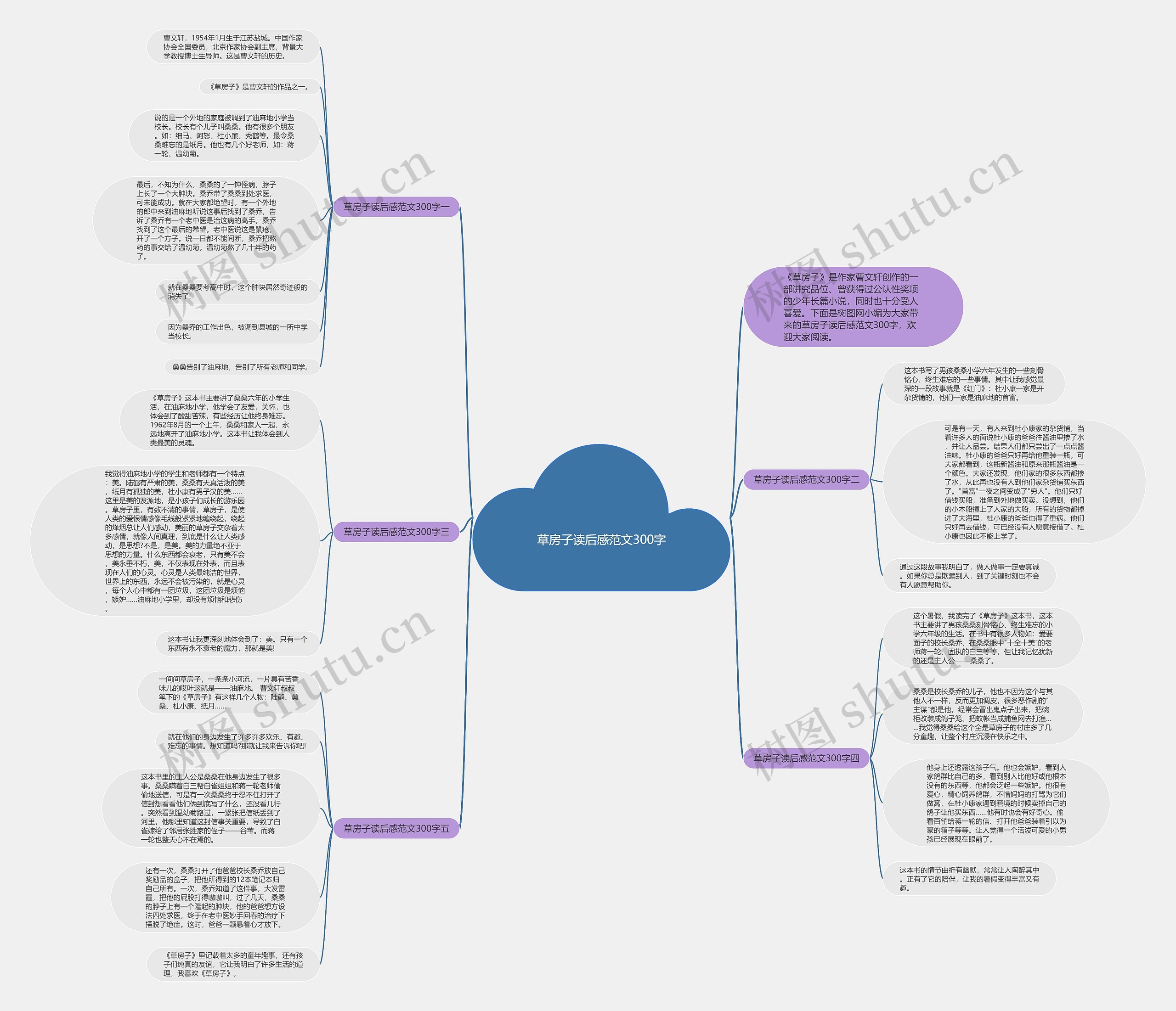 草房子读后感范文300字思维导图