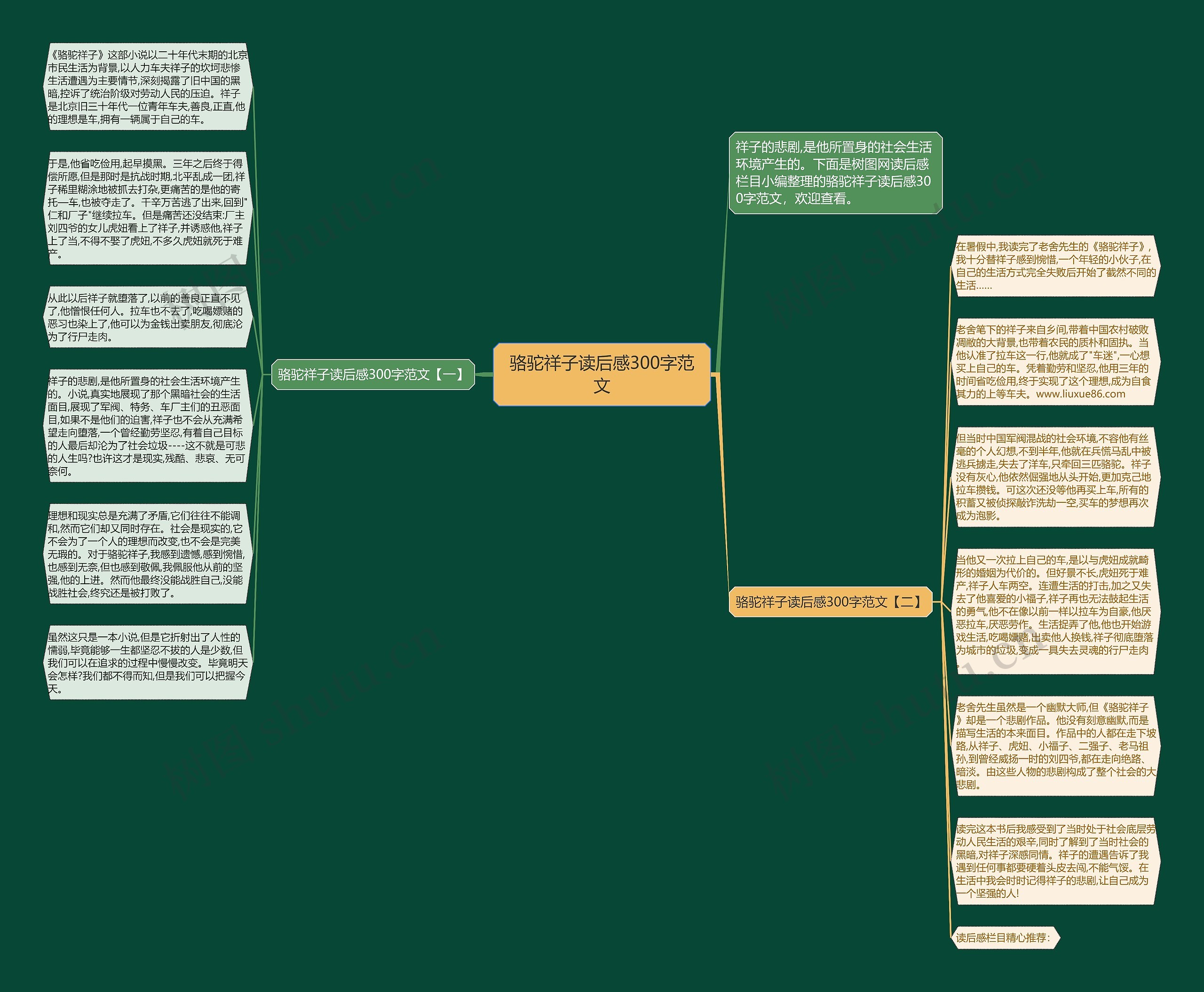 骆驼祥子读后感300字范文思维导图