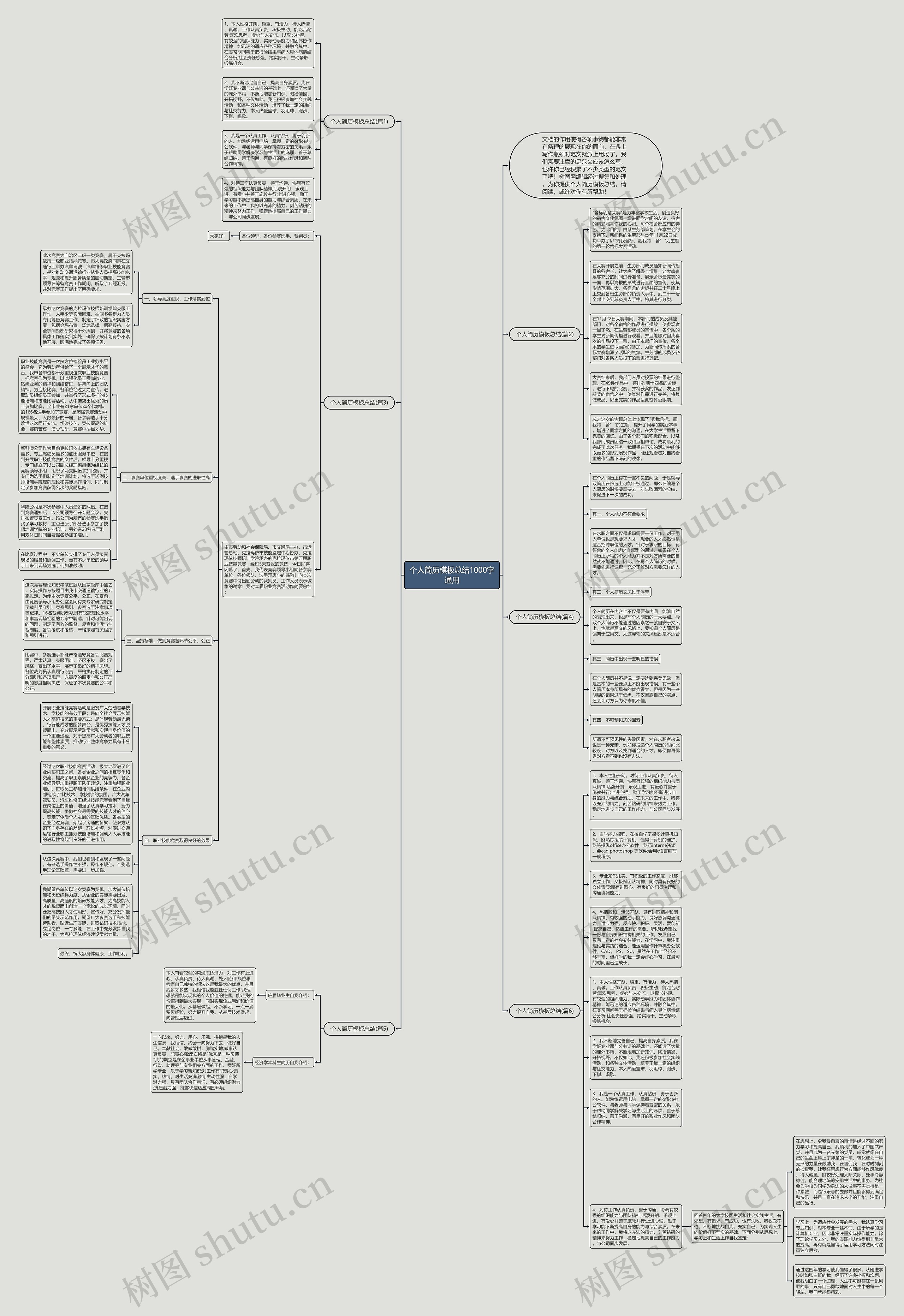 个人简历总结1000字通用思维导图