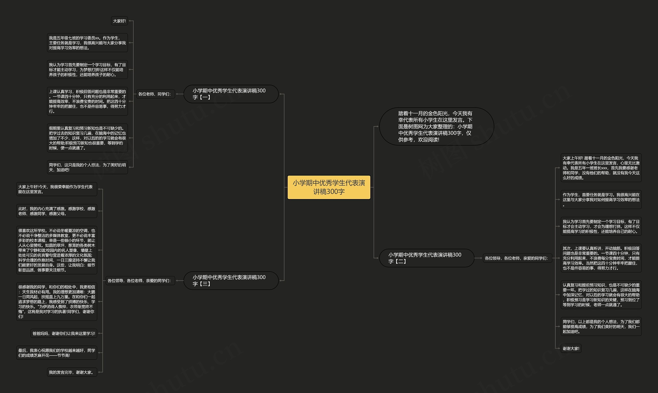 小学期中优秀学生代表演讲稿300字思维导图