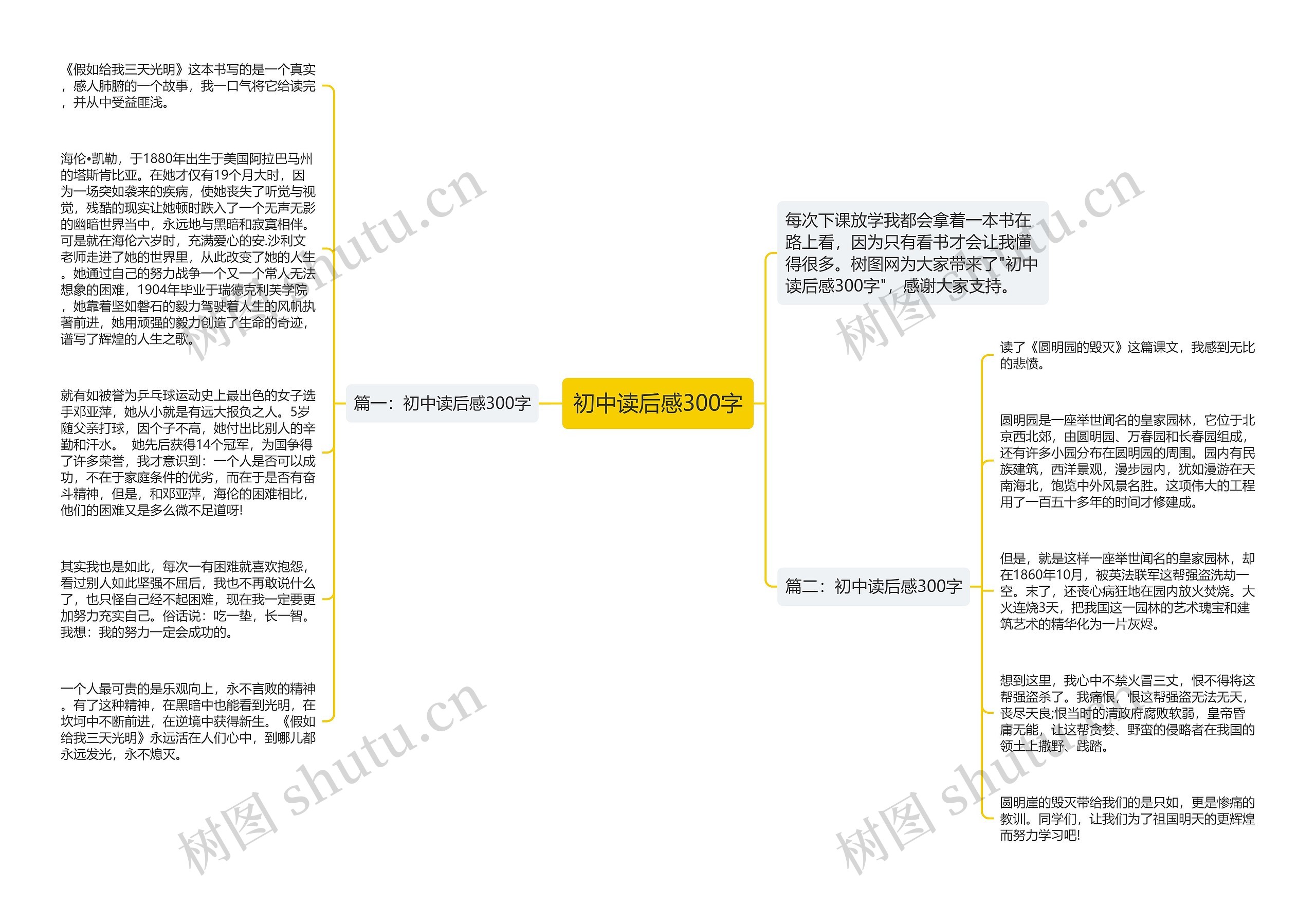 初中读后感300字思维导图