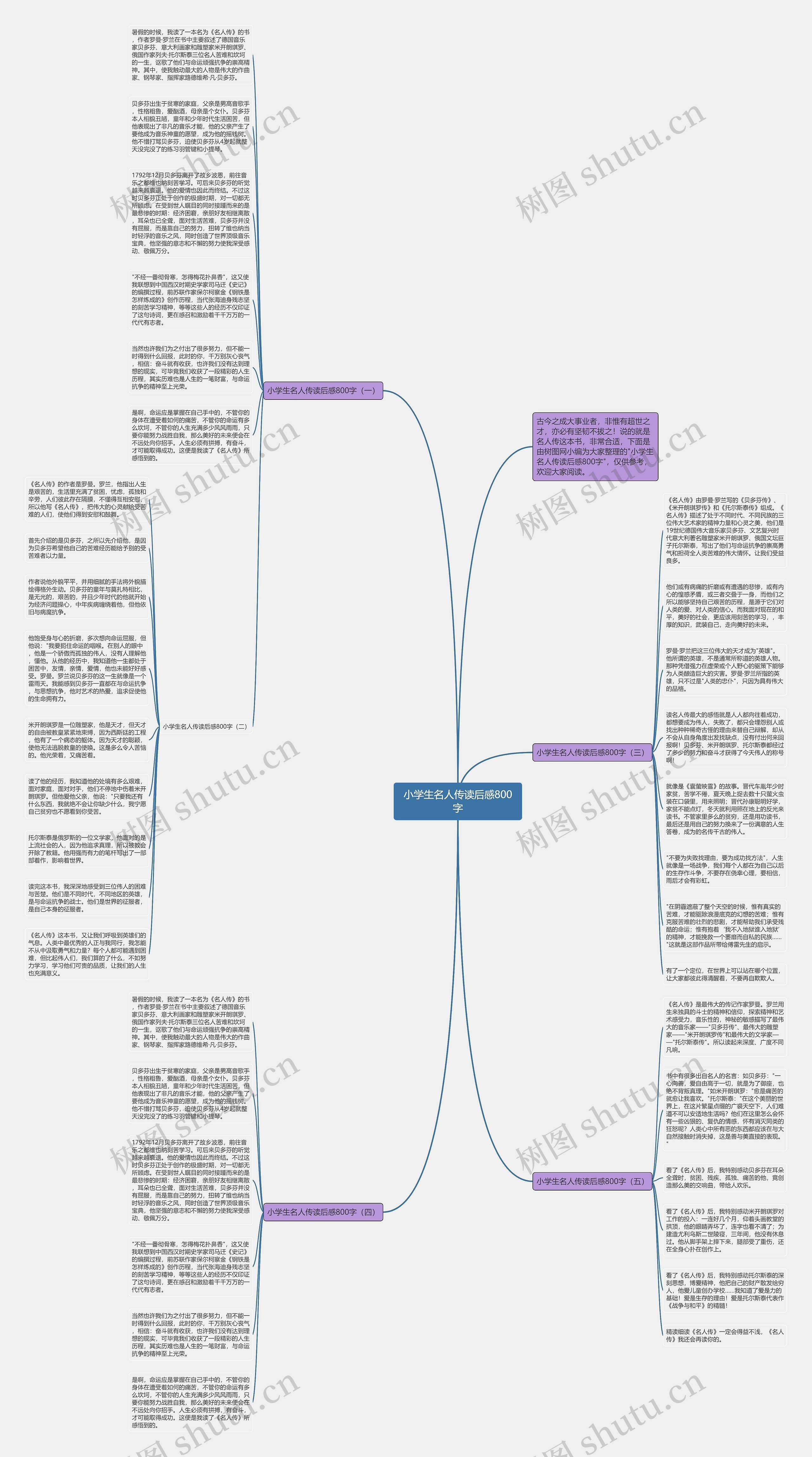 小学生名人传读后感800字思维导图