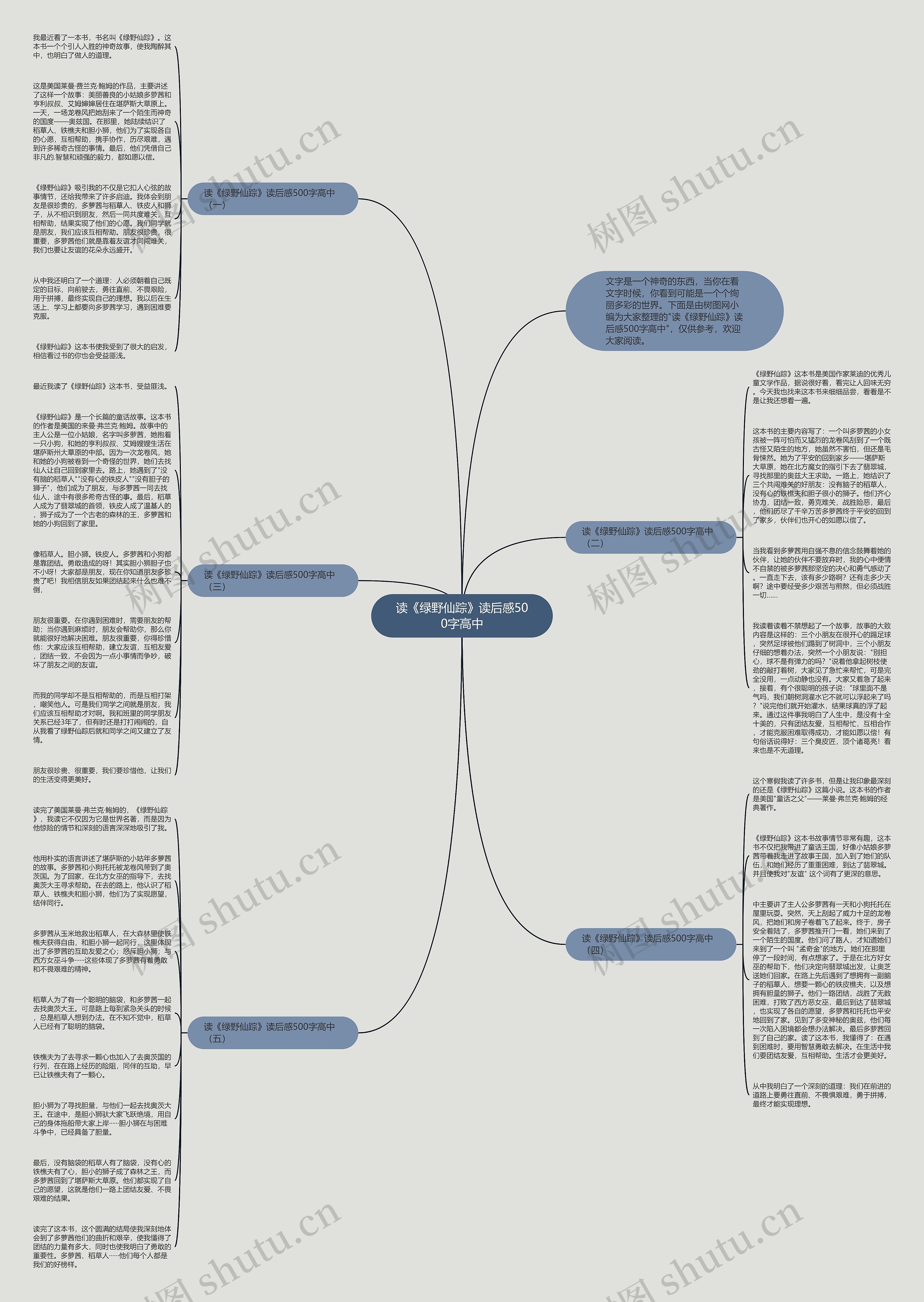 读《绿野仙踪》读后感500字高中思维导图