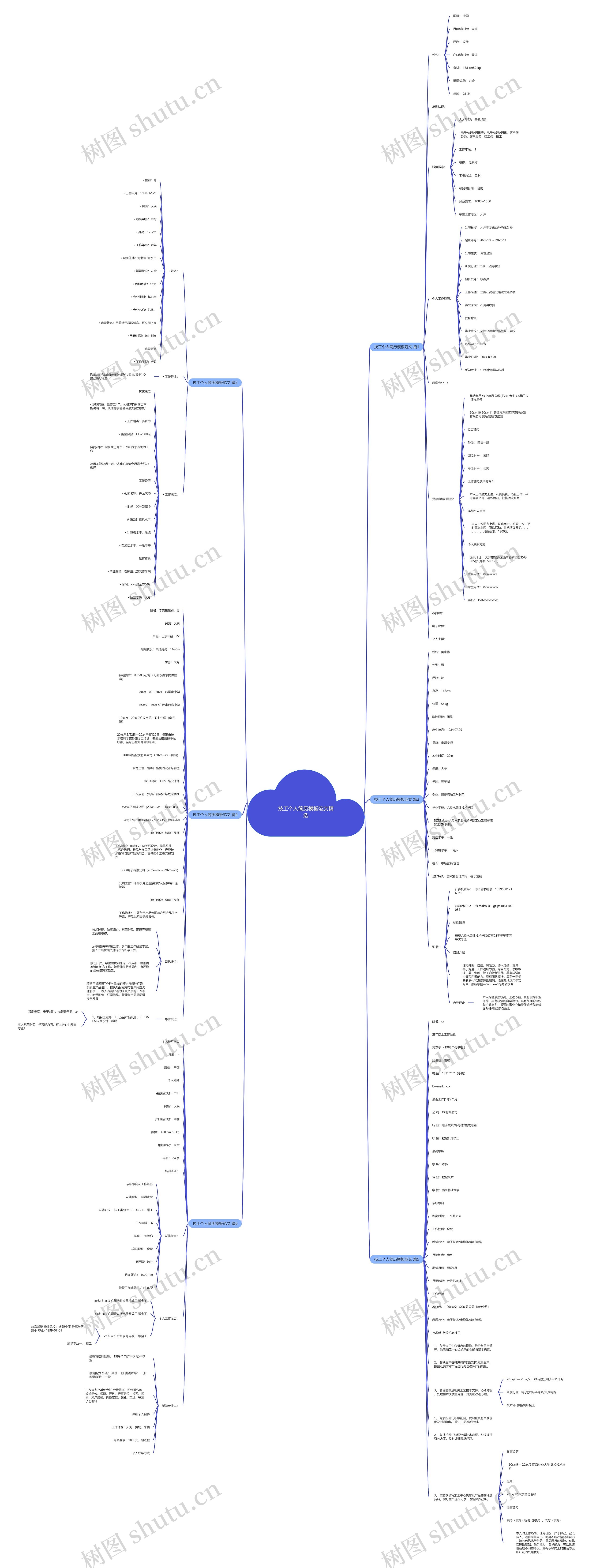 技工个人简历范文精选思维导图