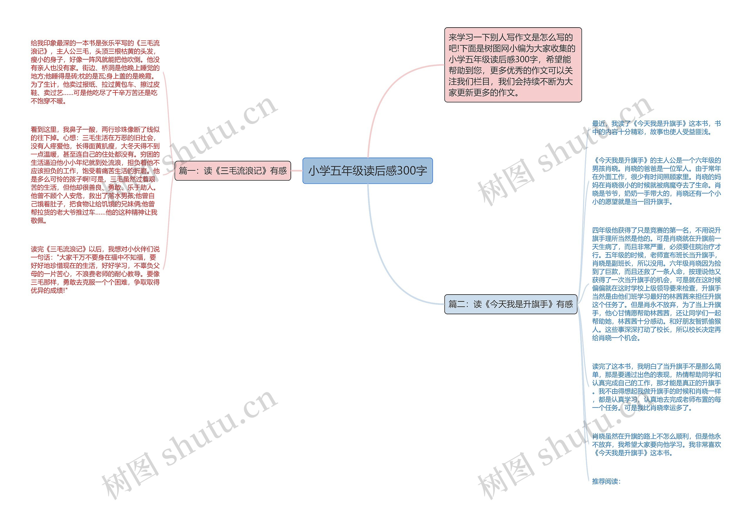 小学五年级读后感300字思维导图
