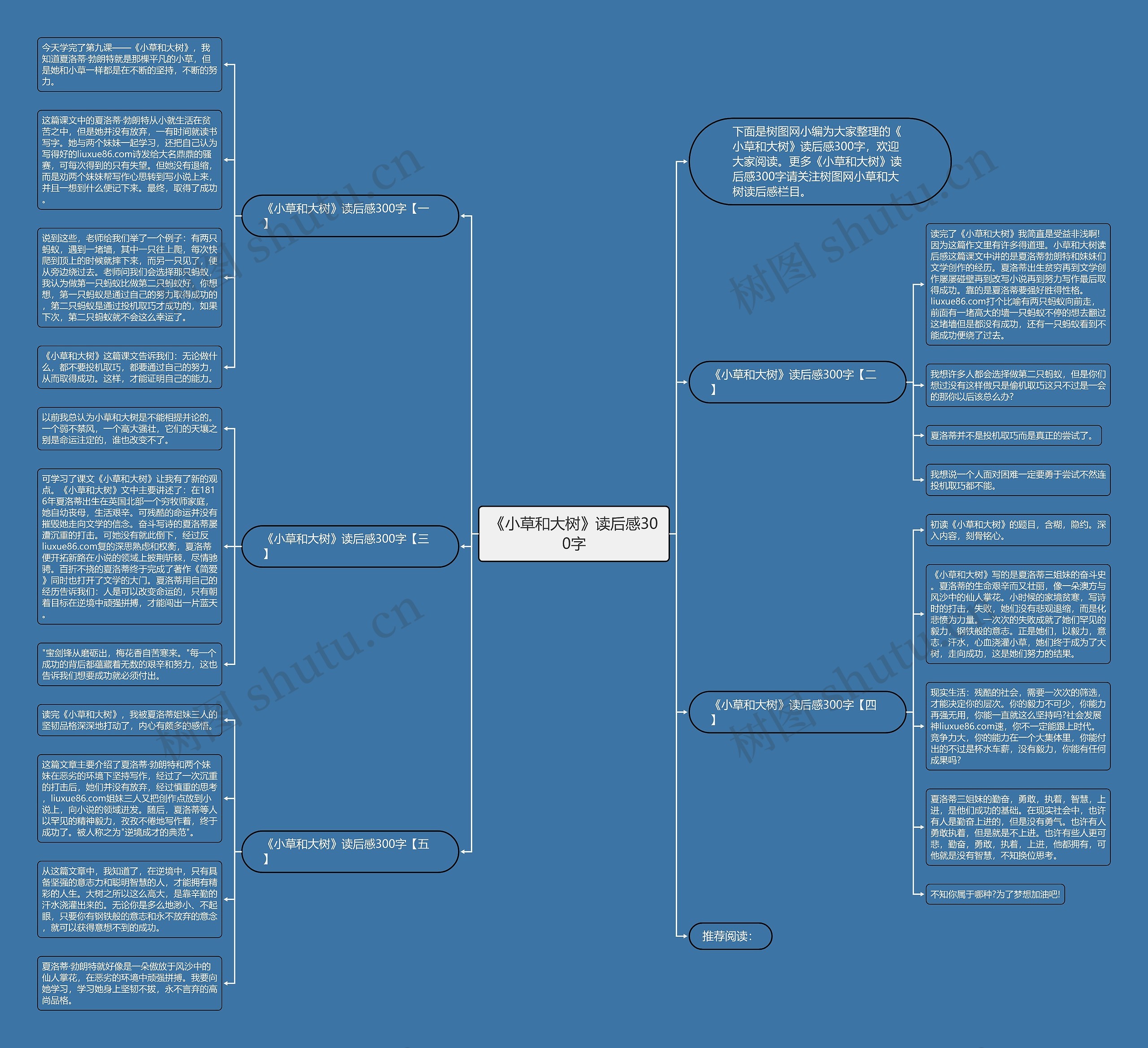 《小草和大树》读后感300字思维导图
