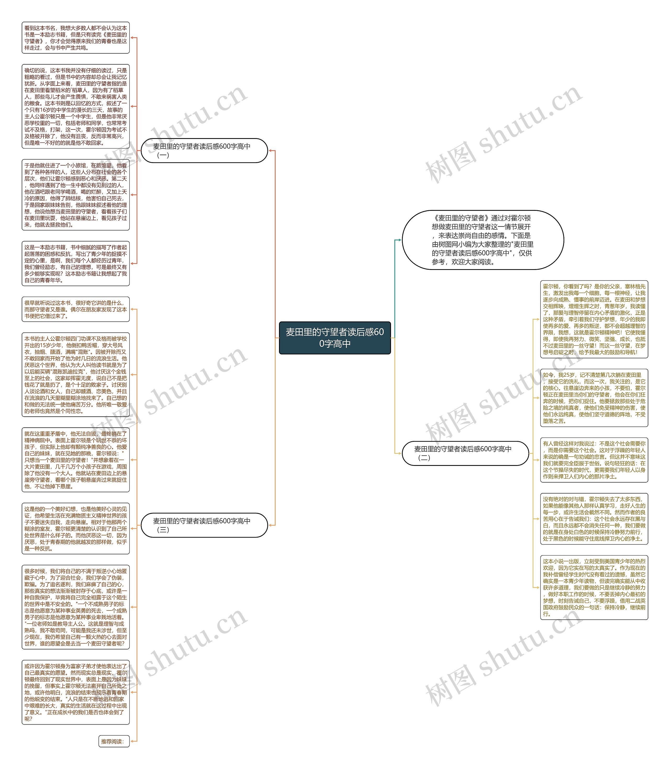 麦田里的守望者读后感600字高中思维导图