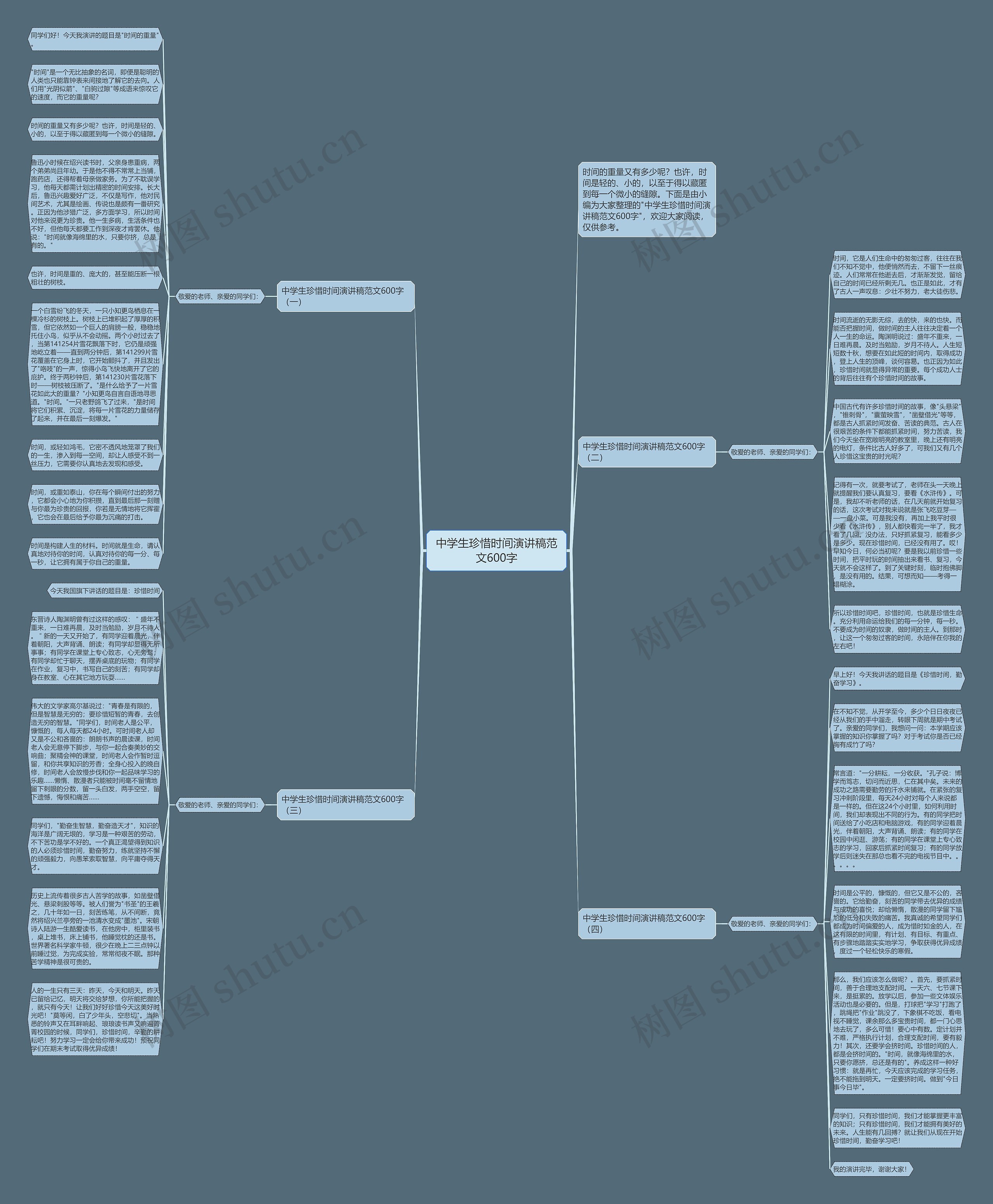 中学生珍惜时间演讲稿范文600字思维导图