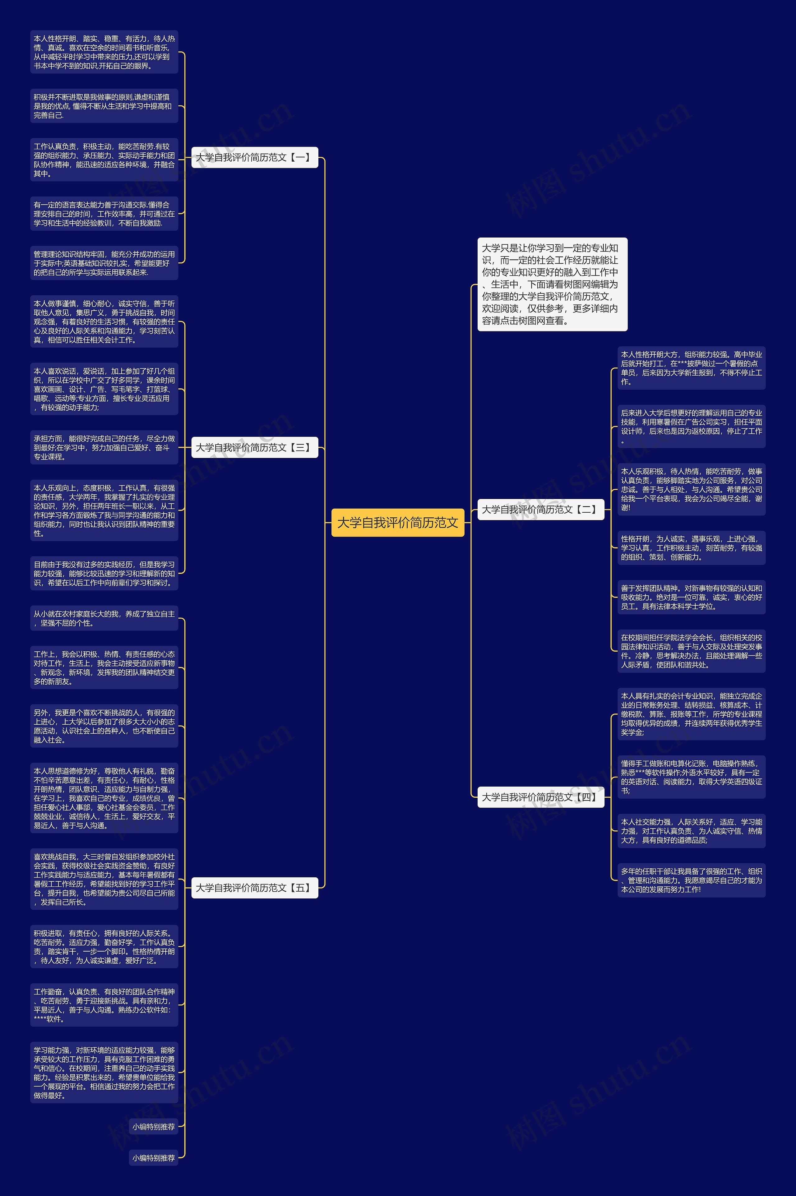 大学自我评价简历范文思维导图