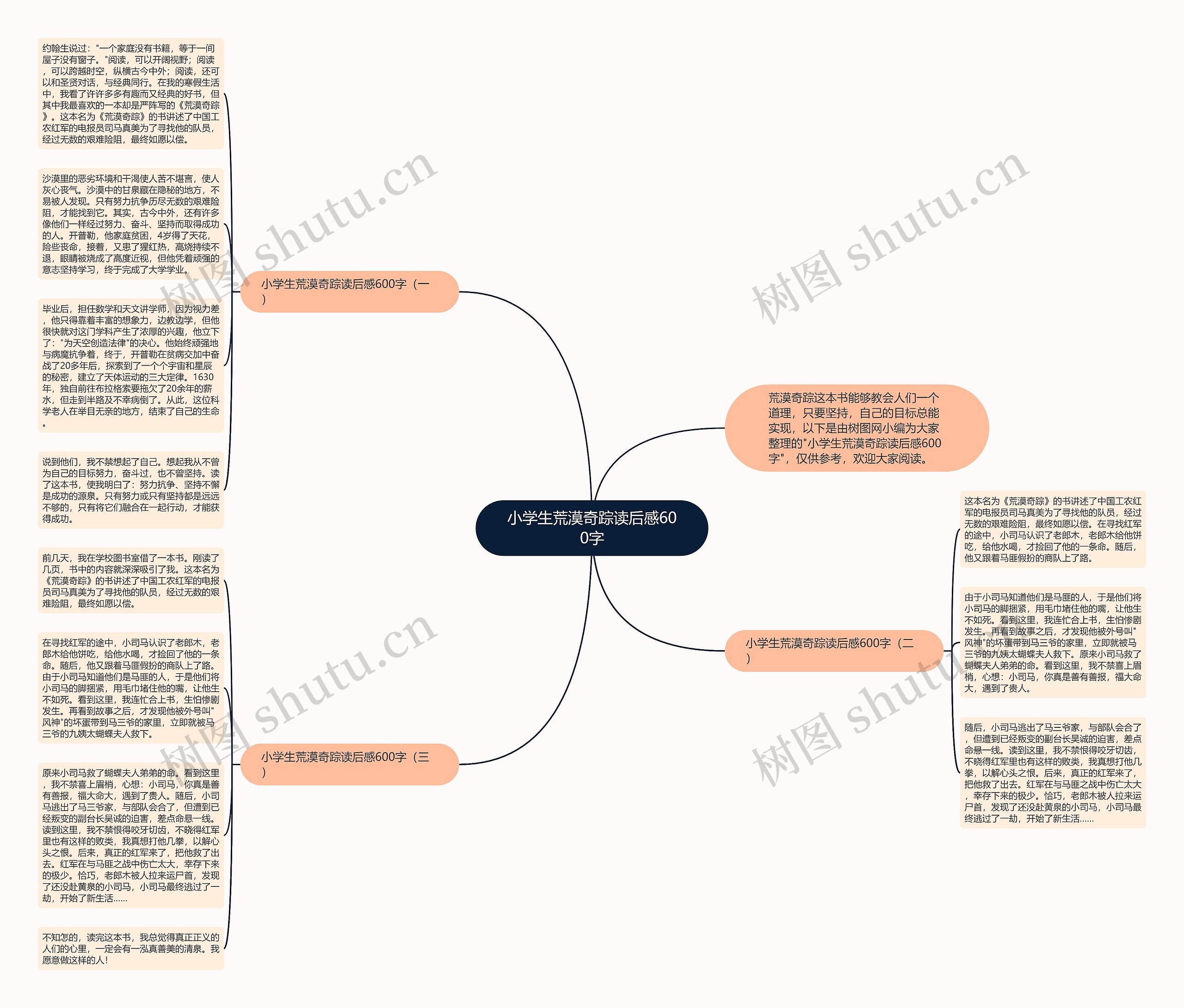 小学生荒漠奇踪读后感600字思维导图
