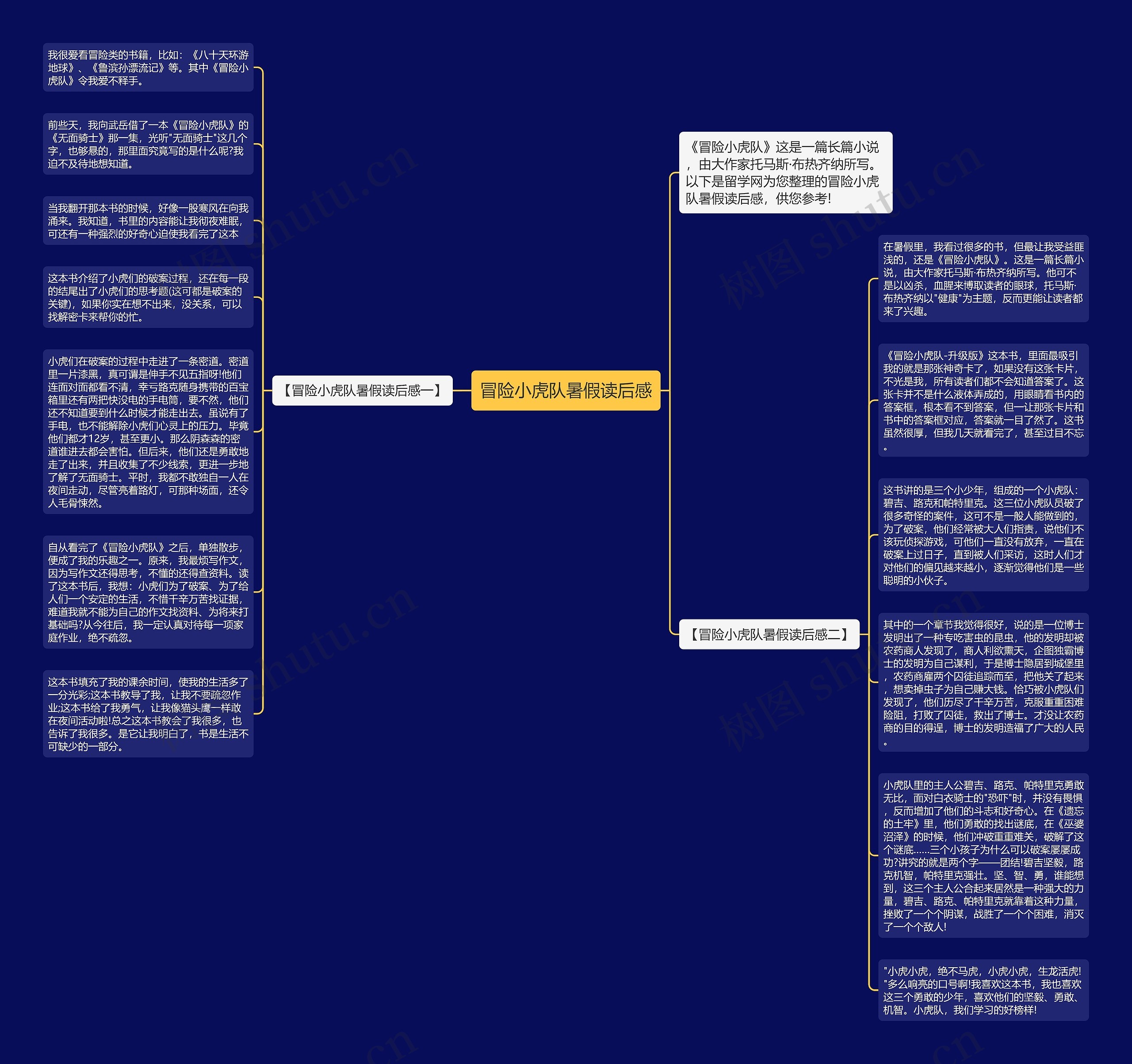冒险小虎队暑假读后感思维导图