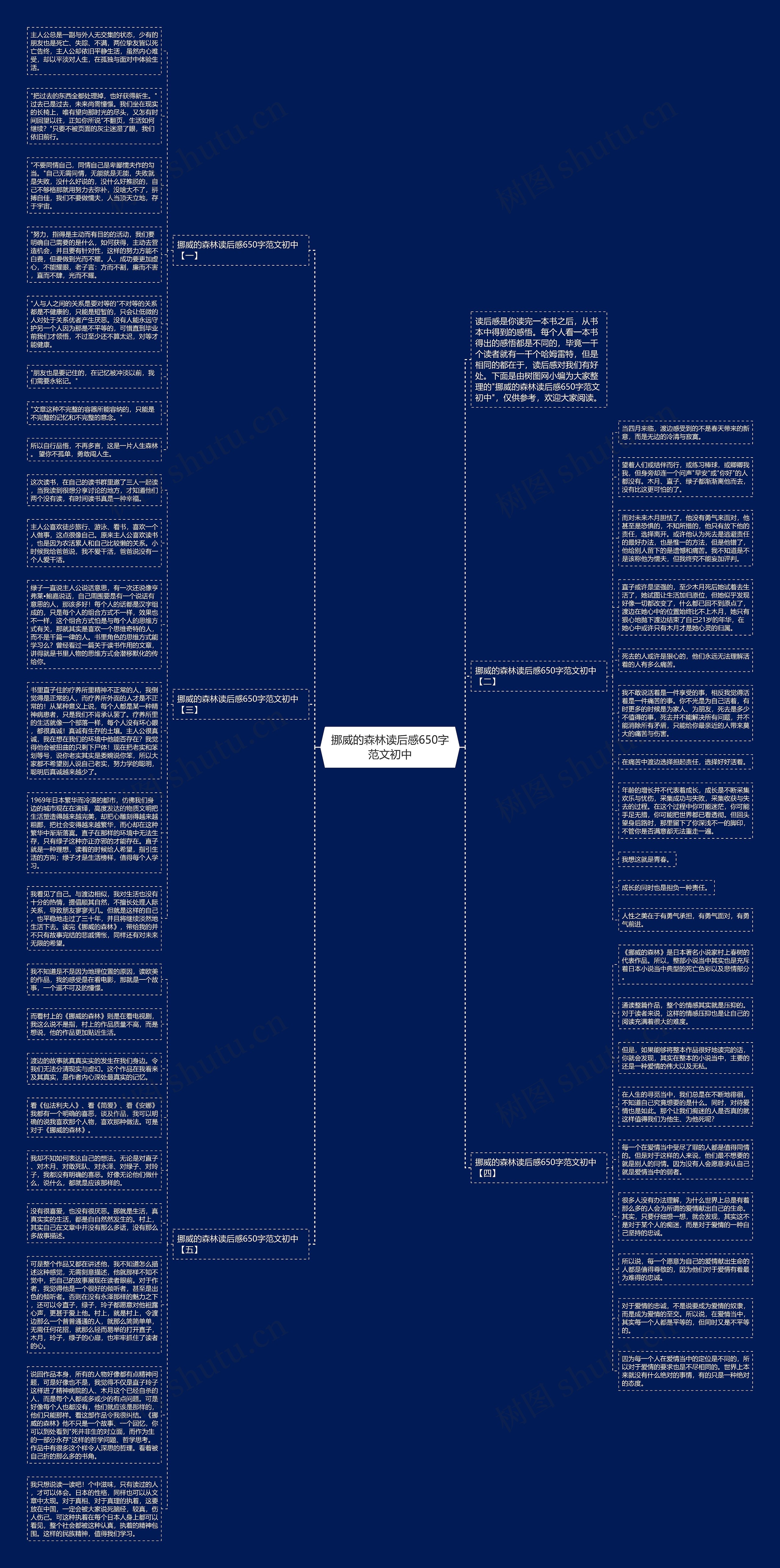 挪威的森林读后感650字范文初中思维导图