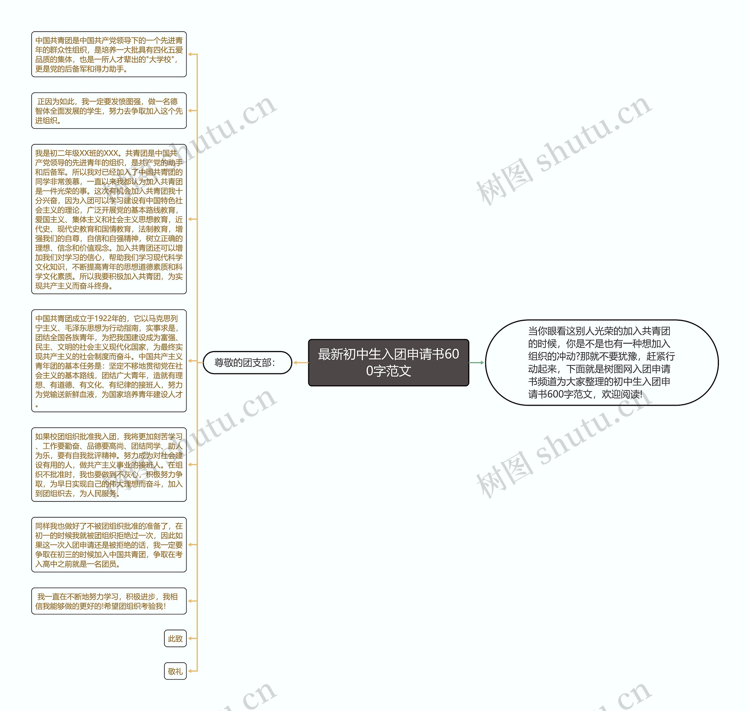 最新初中生入团申请书600字范文思维导图