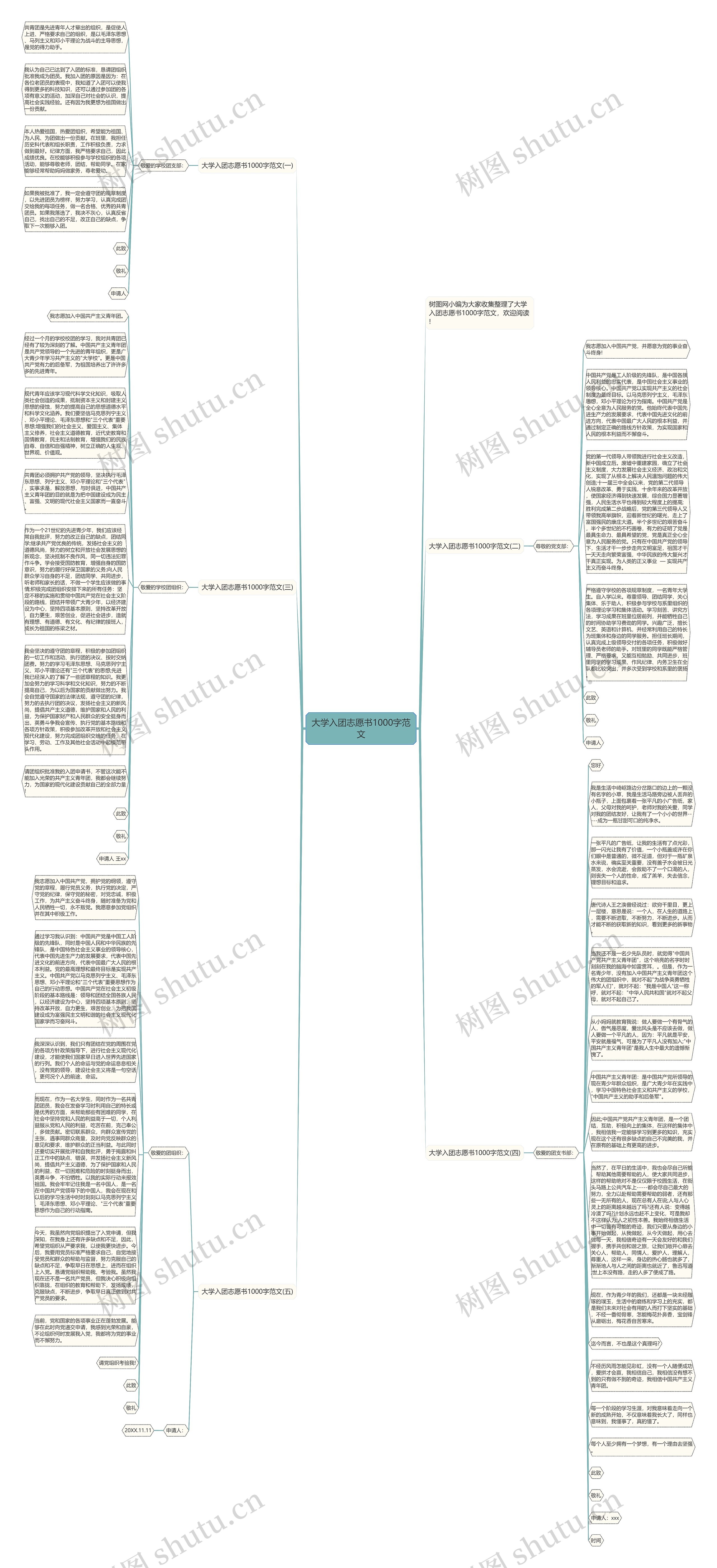 大学入团志愿书1000字范文思维导图