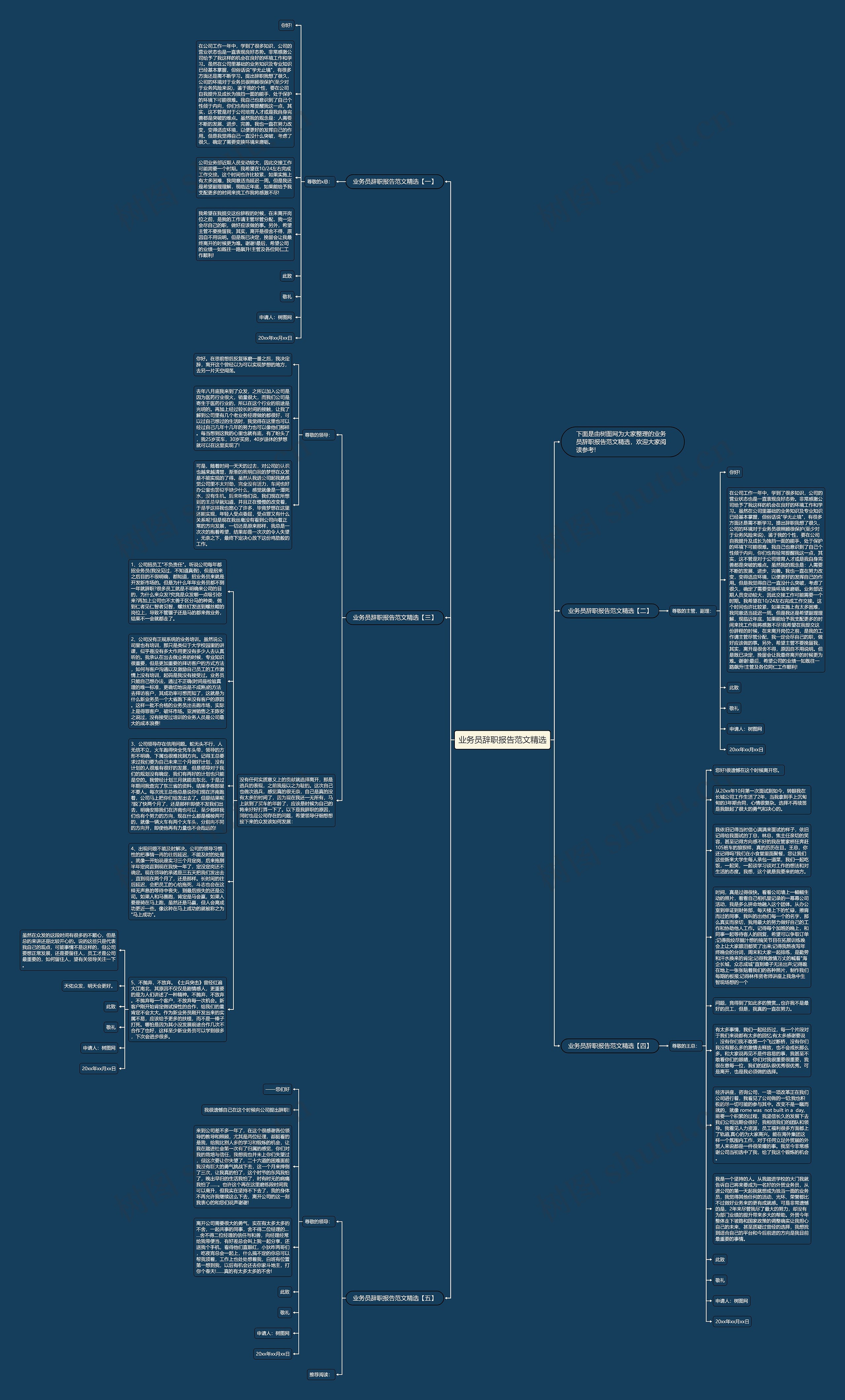业务员辞职报告范文精选思维导图