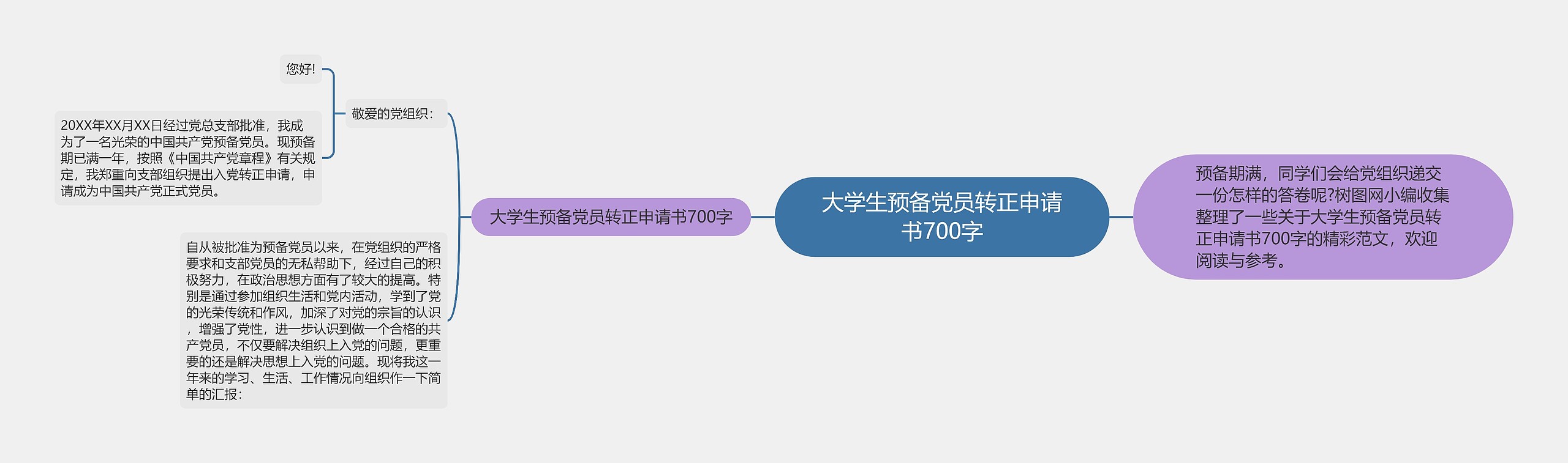 大学生预备党员转正申请书700字