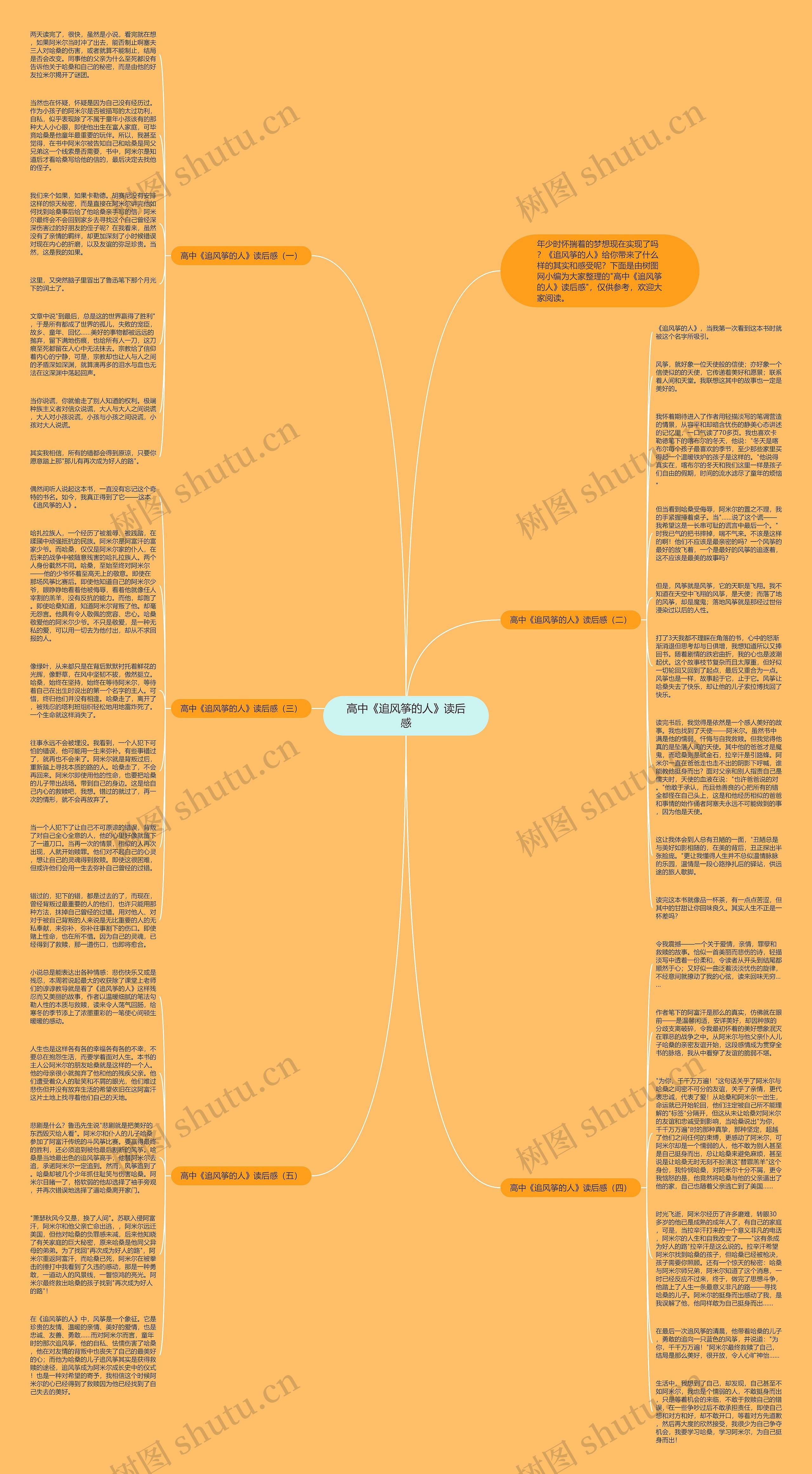 高中《追风筝的人》读后感思维导图