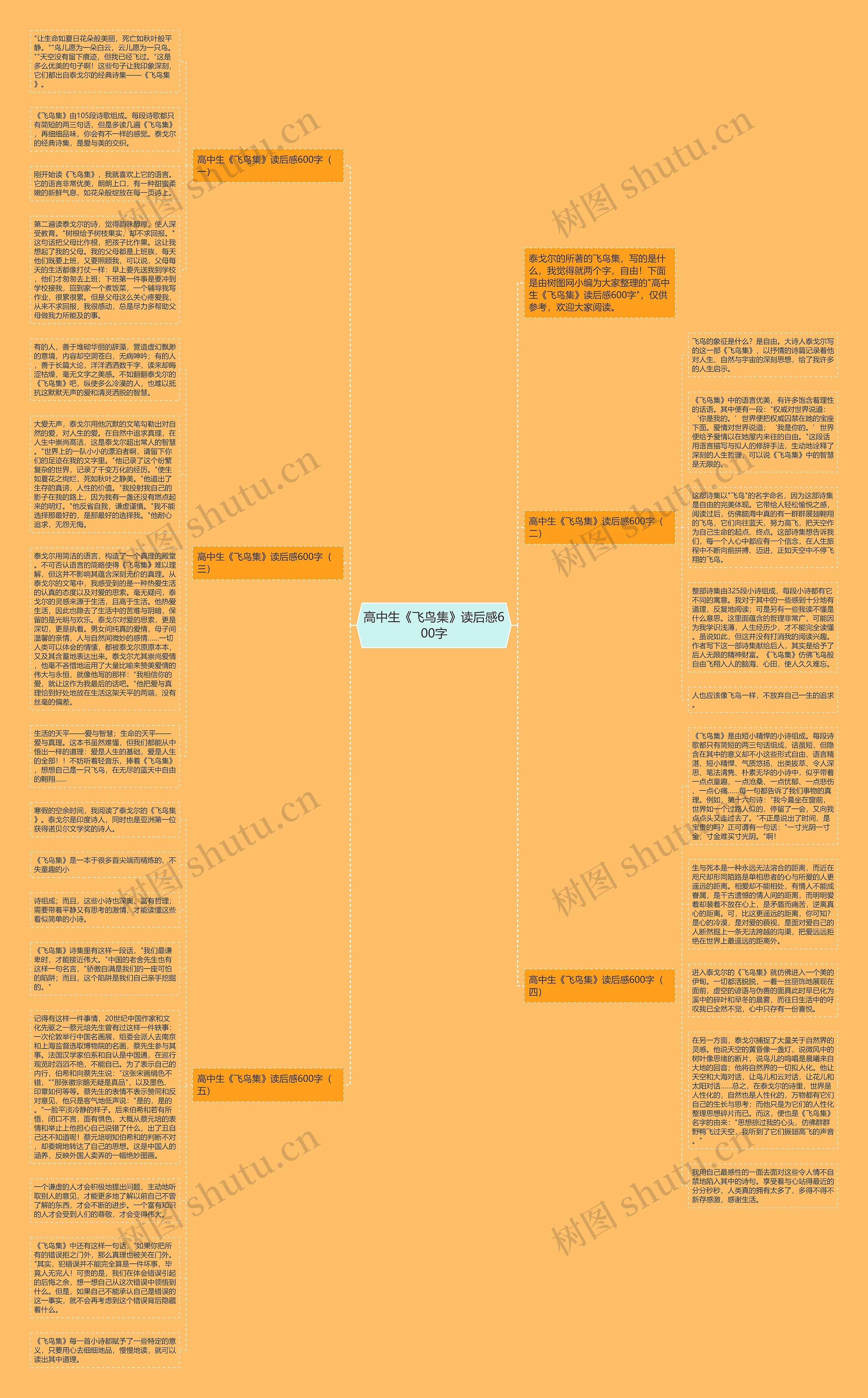 高中生《飞鸟集》读后感600字思维导图
