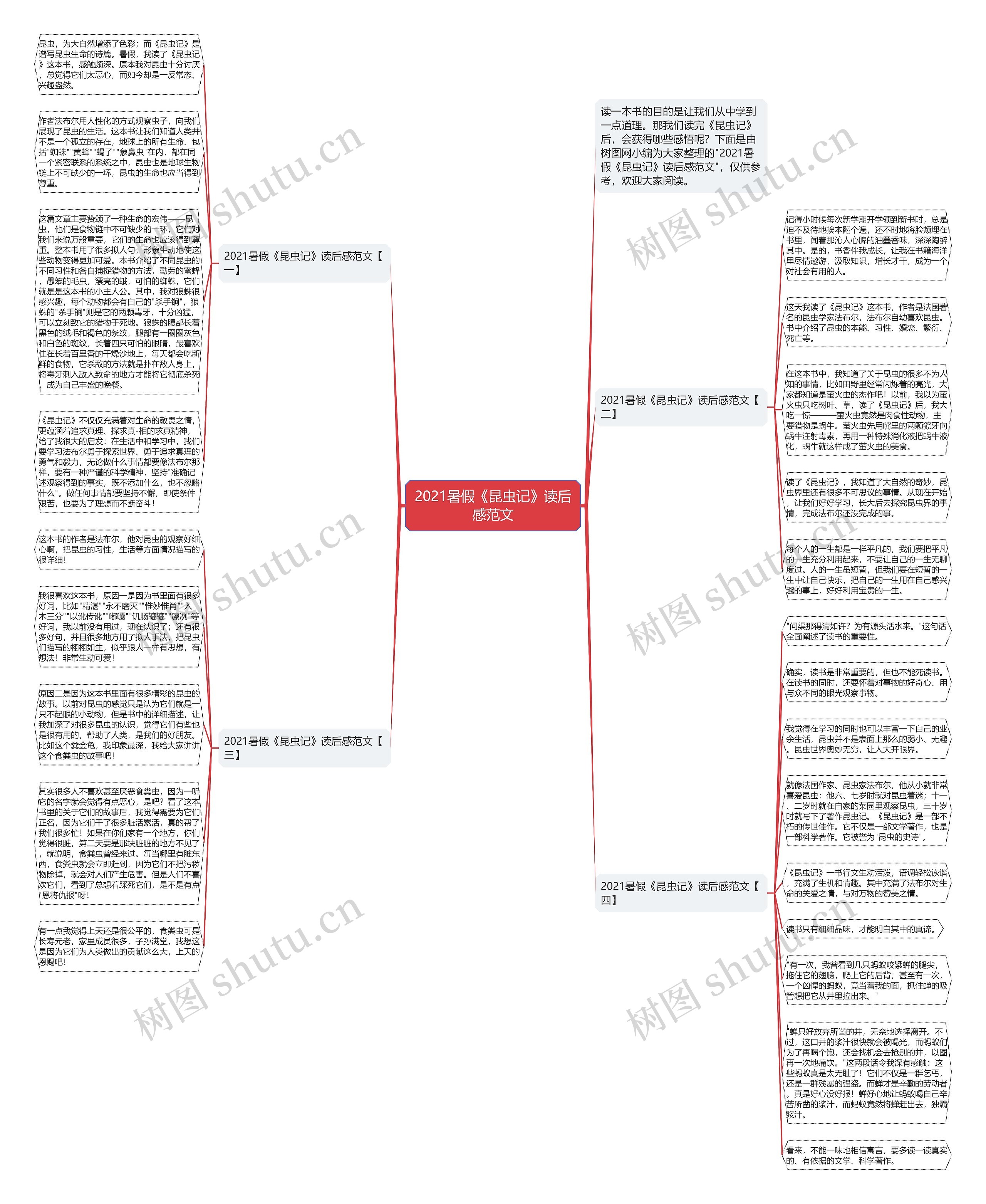 2021暑假《昆虫记》读后感范文思维导图