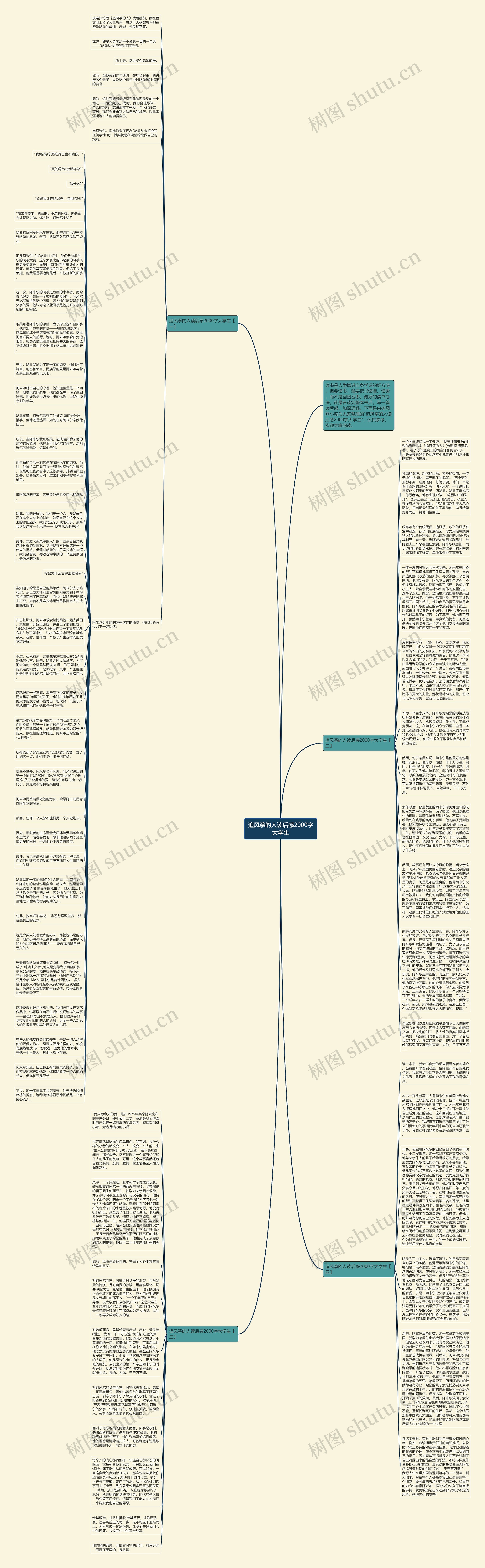 追风筝的人读后感2000字大学生思维导图