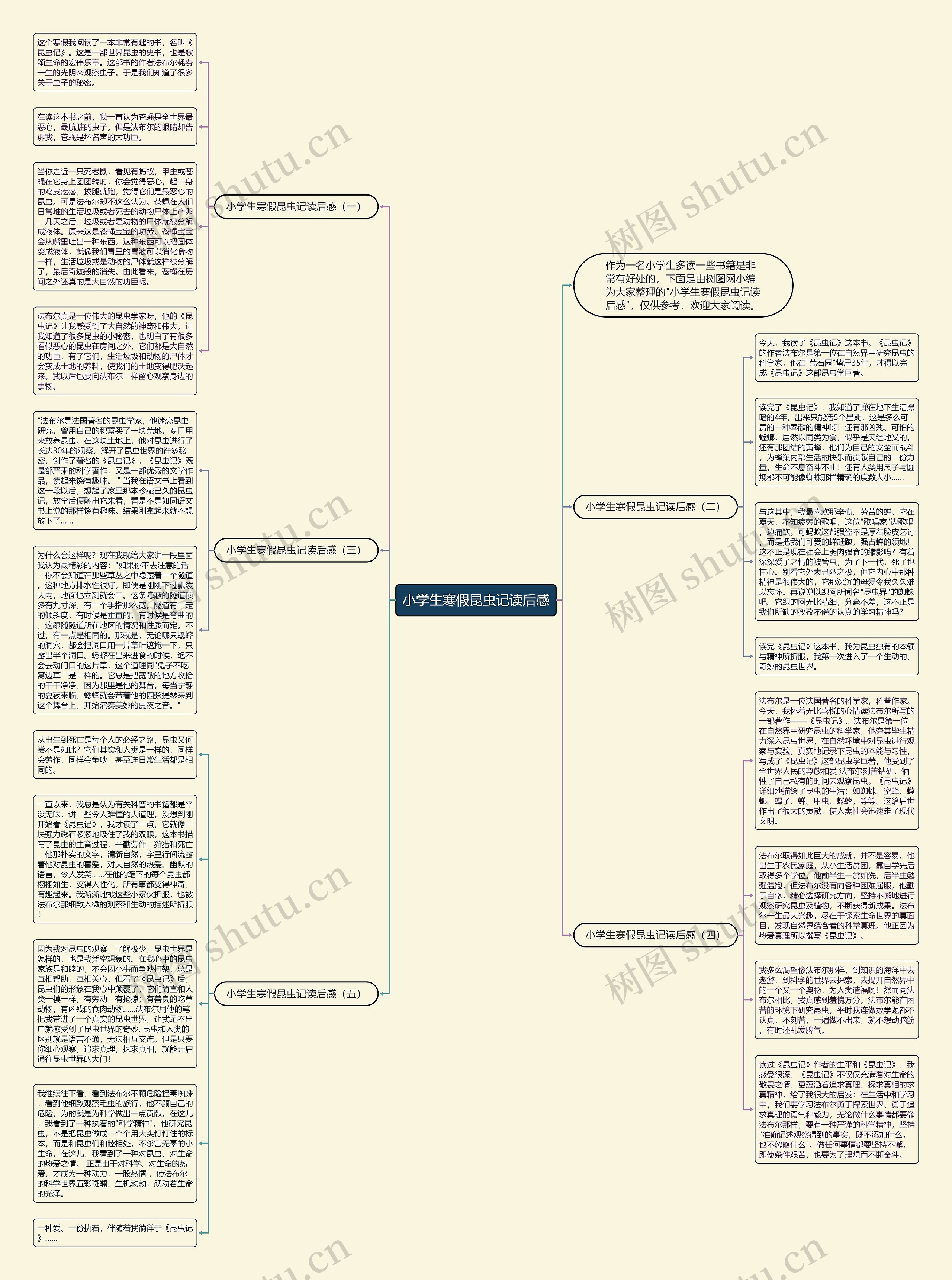 小学生寒假昆虫记读后感思维导图