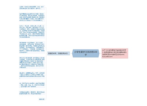 小学生爱学习演讲稿500字