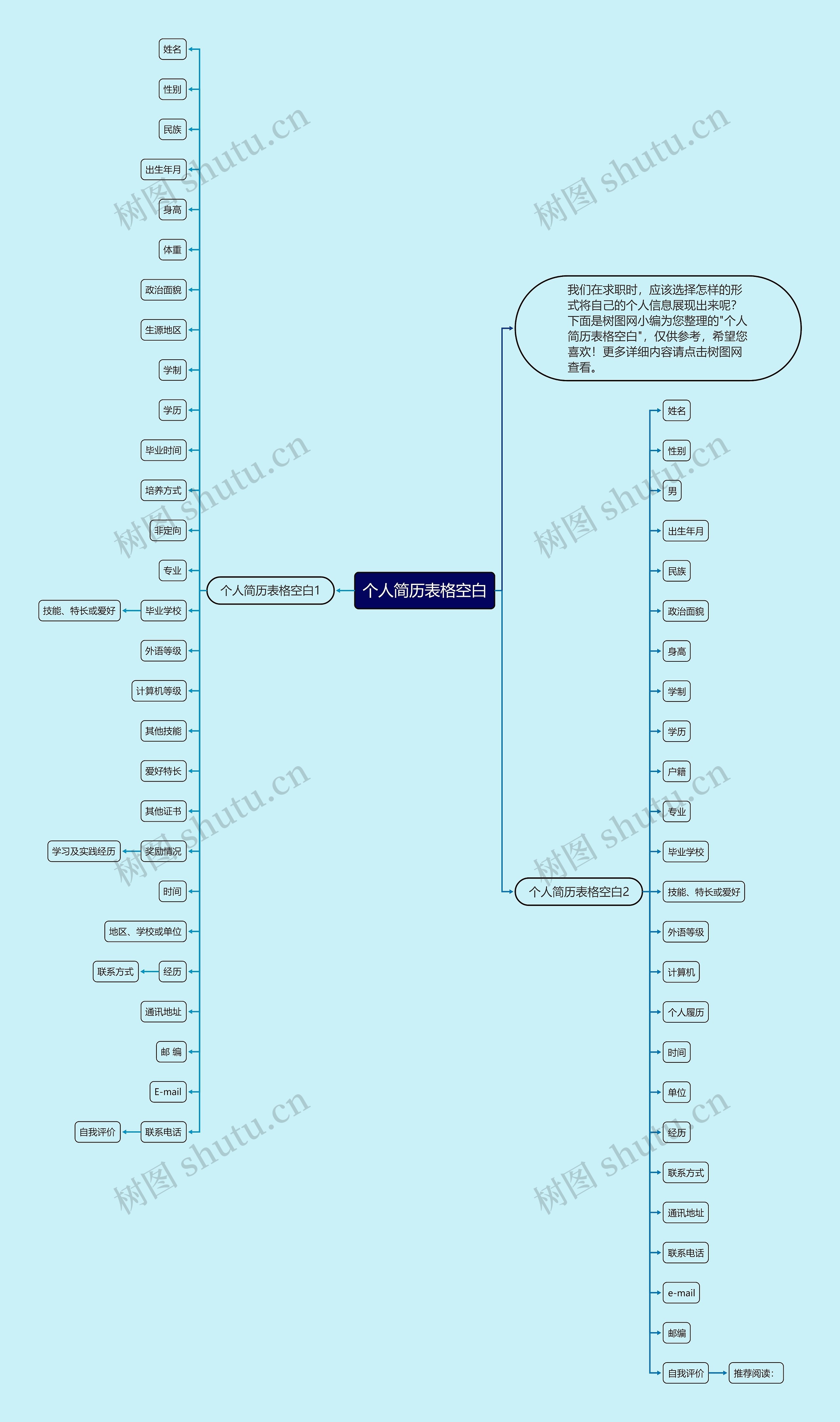 个人简历表格空白思维导图
