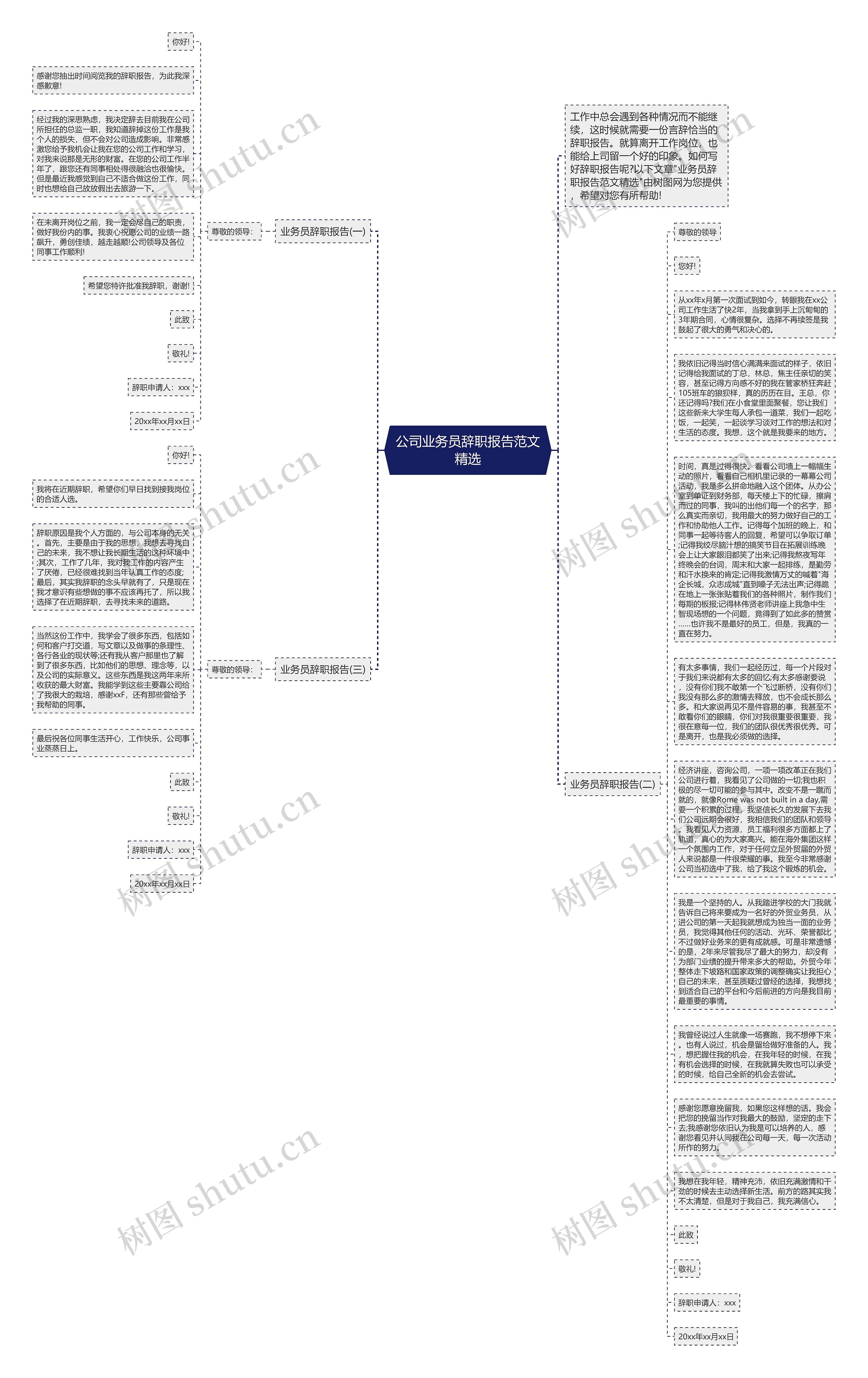 公司业务员辞职报告范文精选思维导图