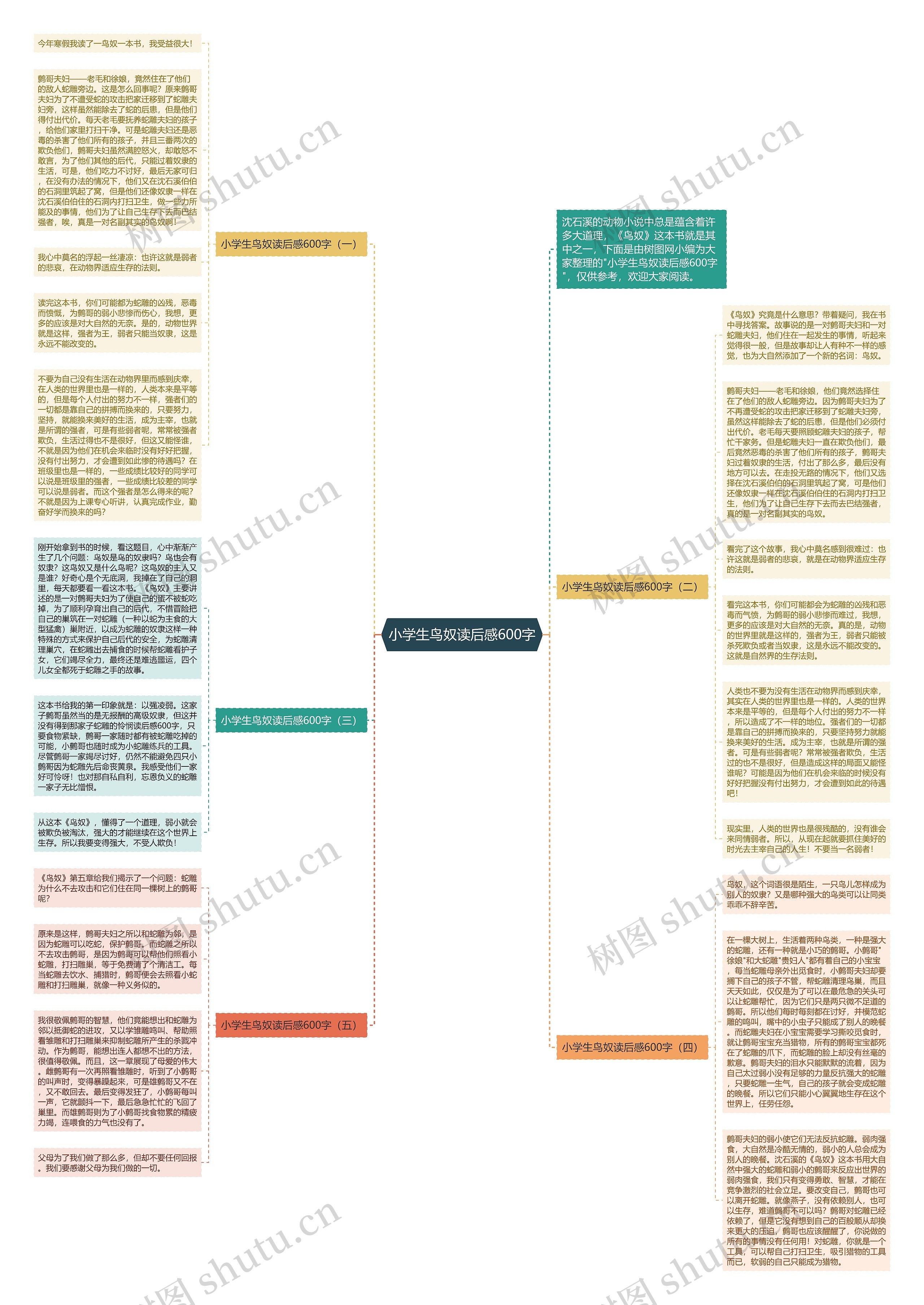 小学生鸟奴读后感600字思维导图