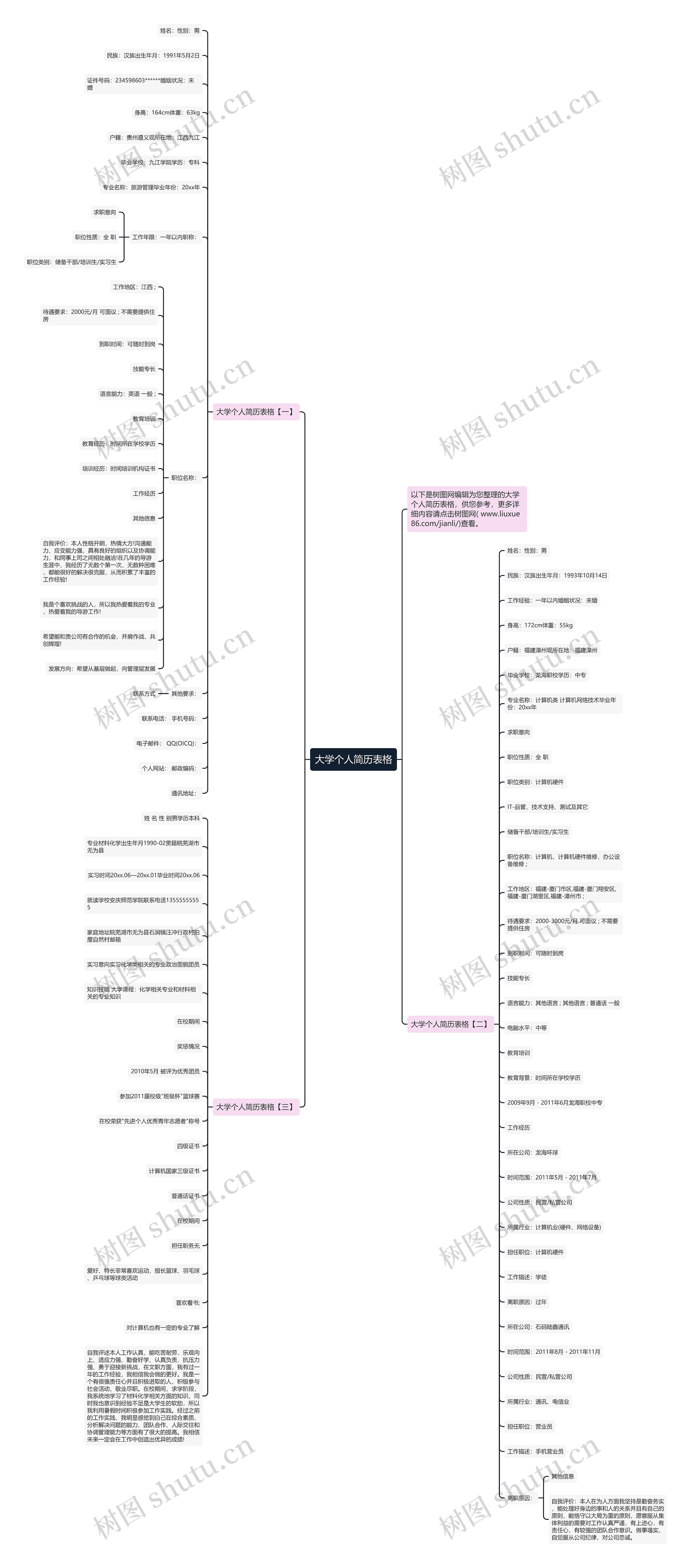 大学个人简历表格思维导图