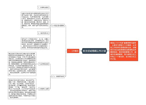 班主任试用期工作计划