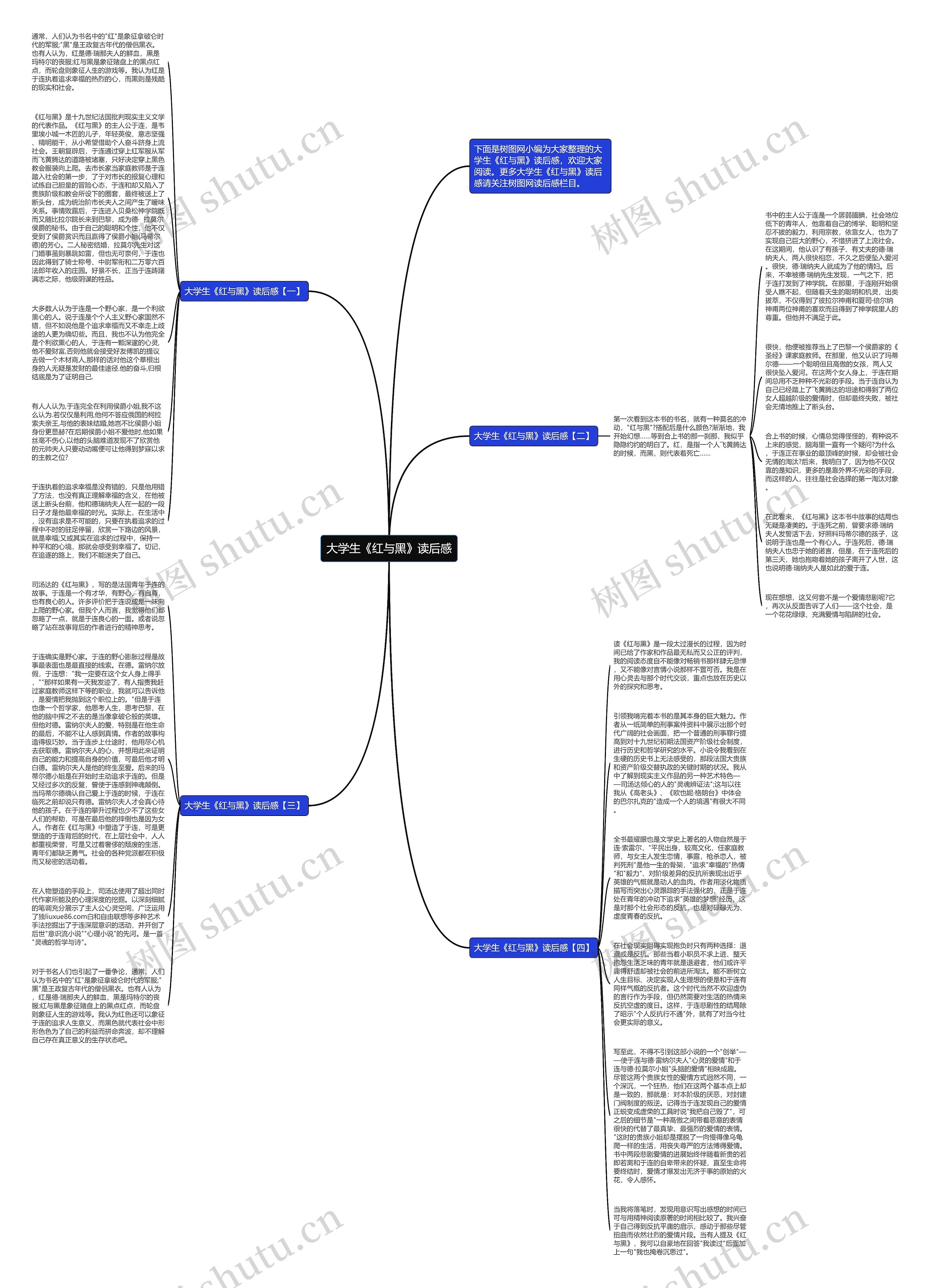 大学生《红与黑》读后感思维导图