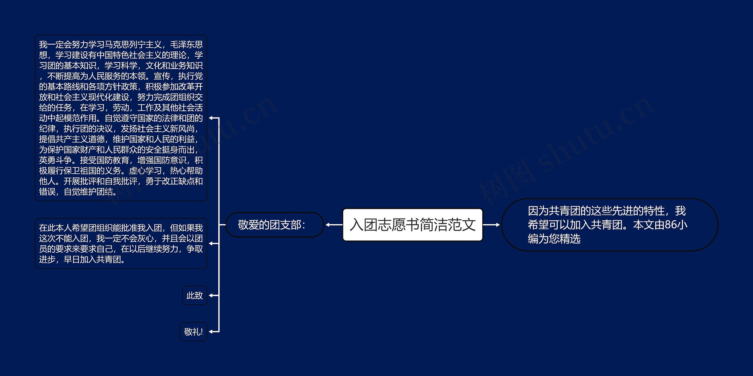 入团志愿书简洁范文