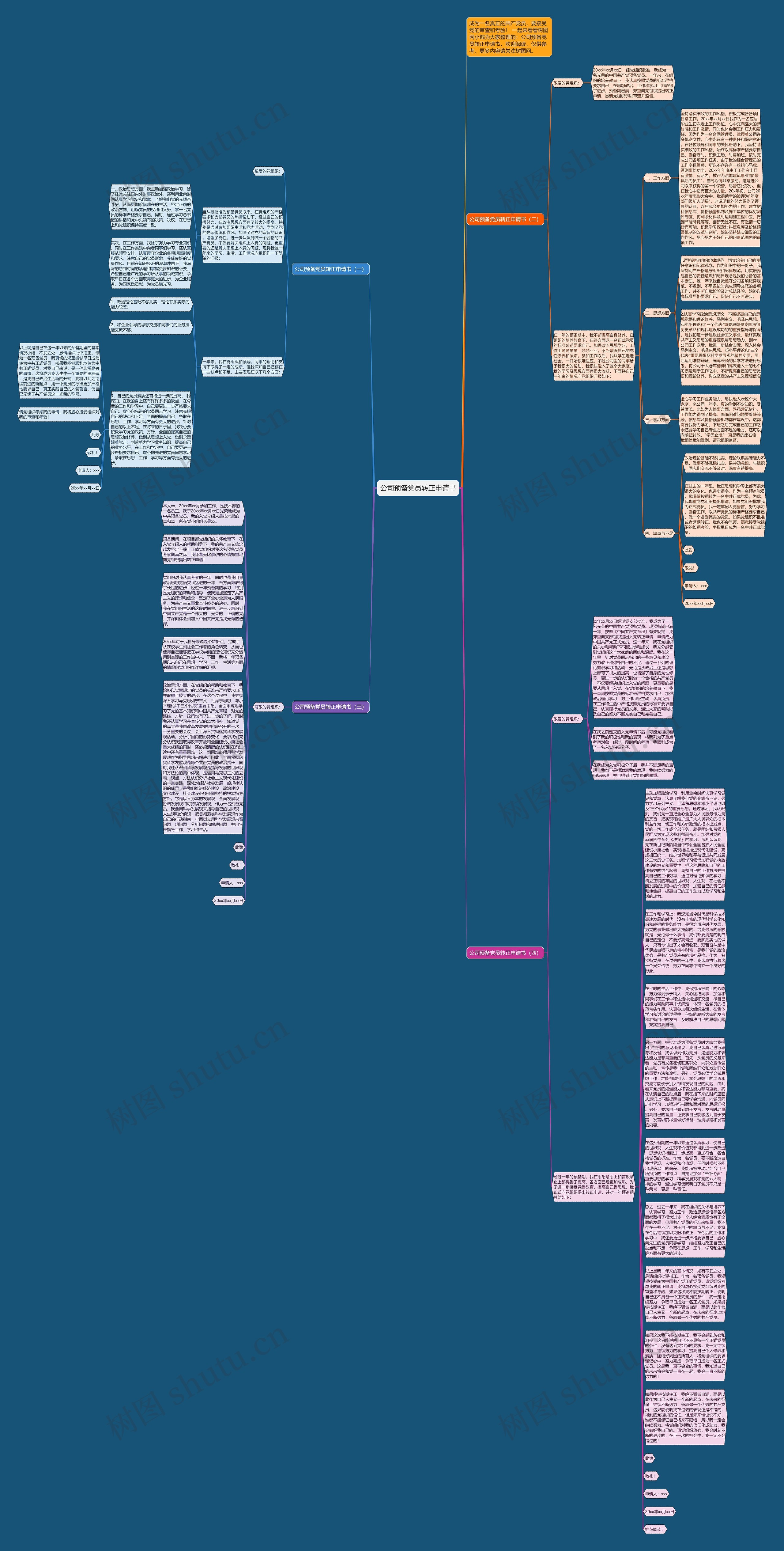 公司预备党员转正申请书思维导图