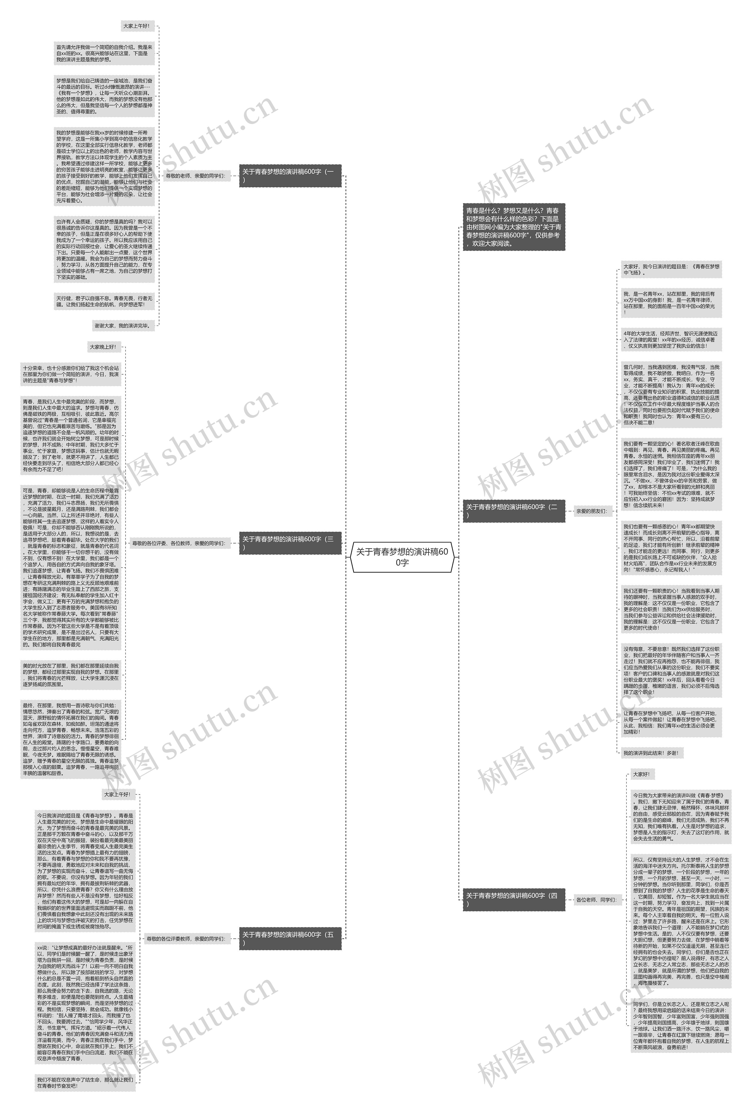 关于青春梦想的演讲稿600字思维导图