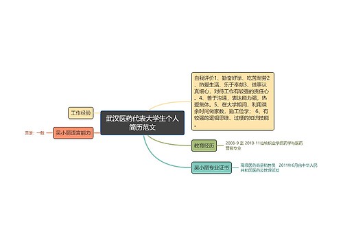 武汉医药代表大学生个人简历范文