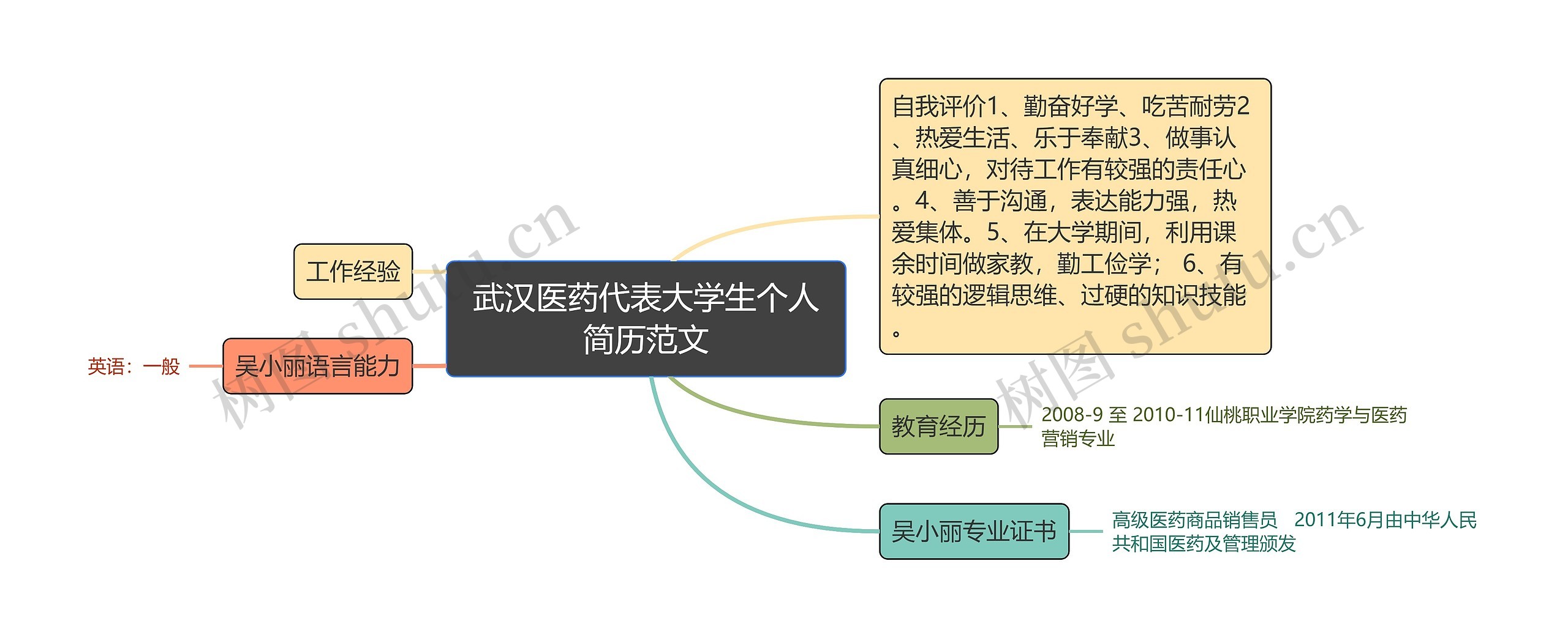 武汉医药代表大学生个人简历范文思维导图