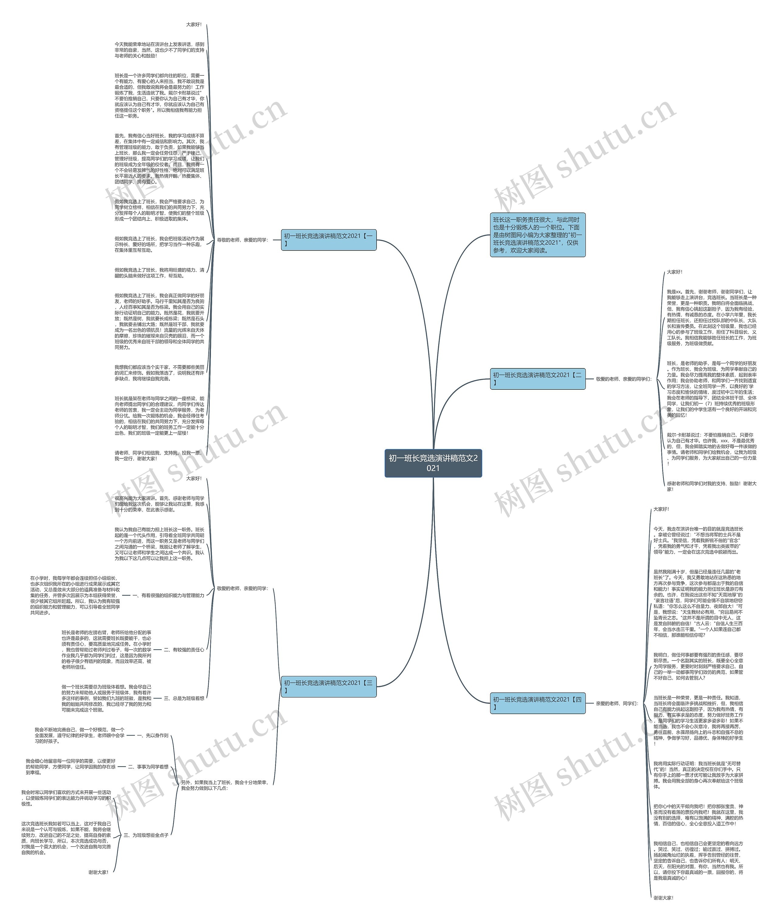 初一班长竞选演讲稿范文2021思维导图