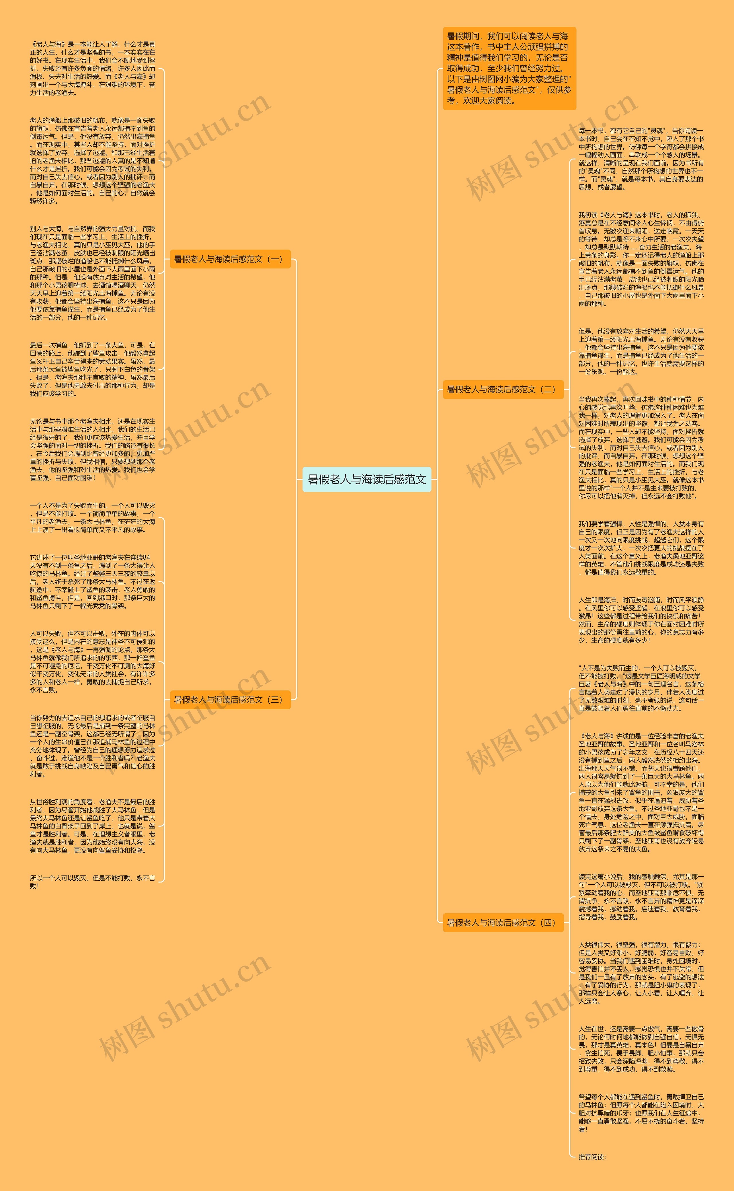 暑假老人与海读后感范文思维导图