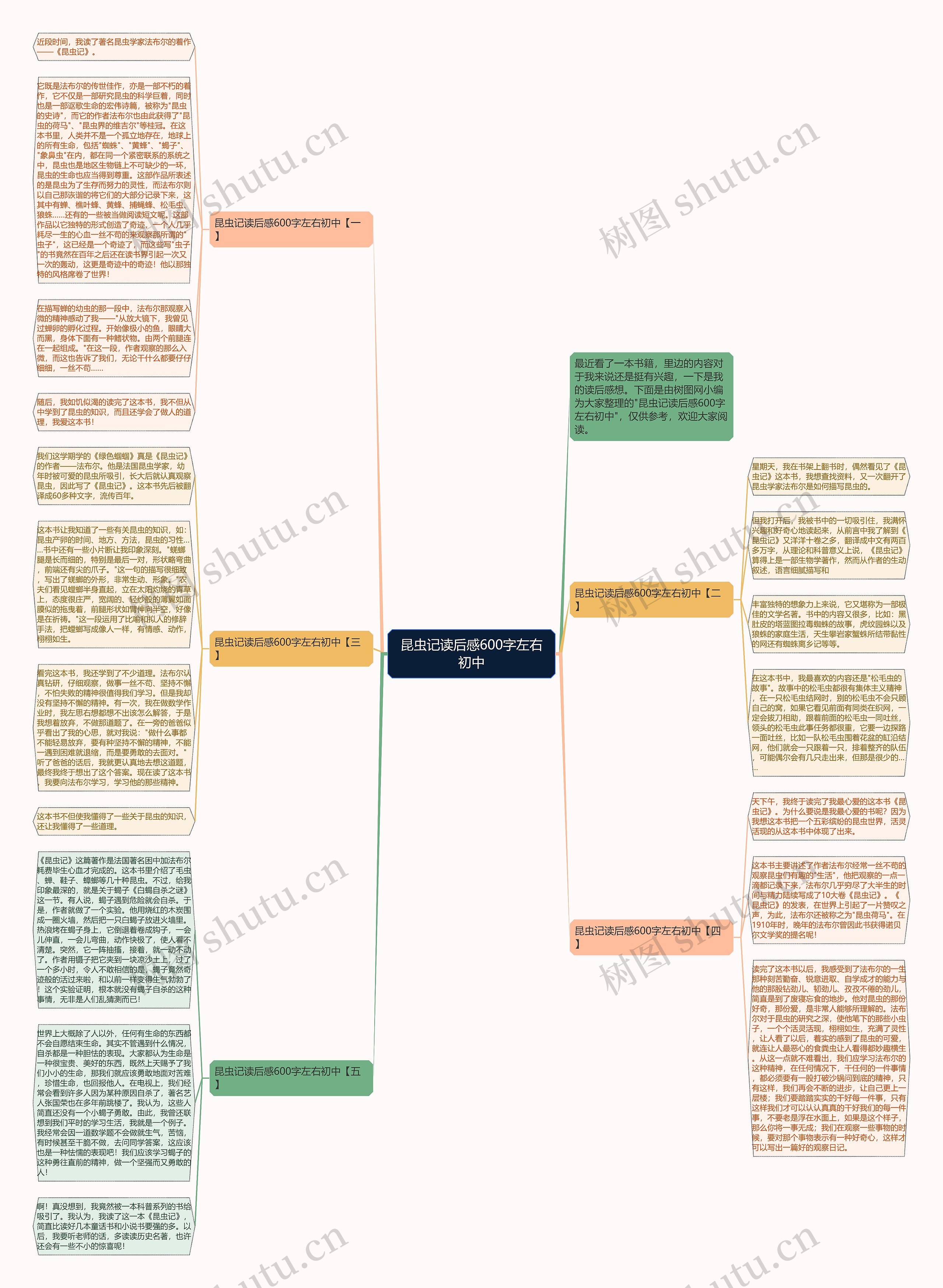 昆虫记读后感600字左右初中思维导图
