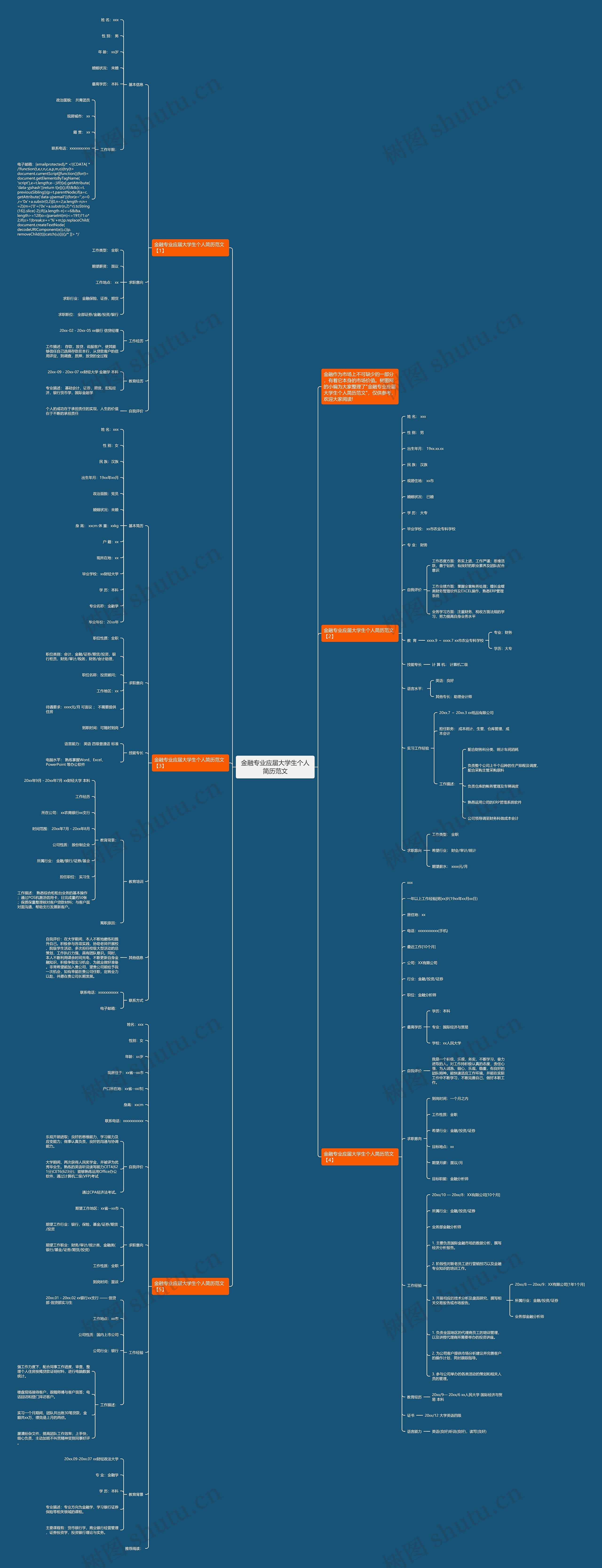 金融专业应届大学生个人简历范文思维导图